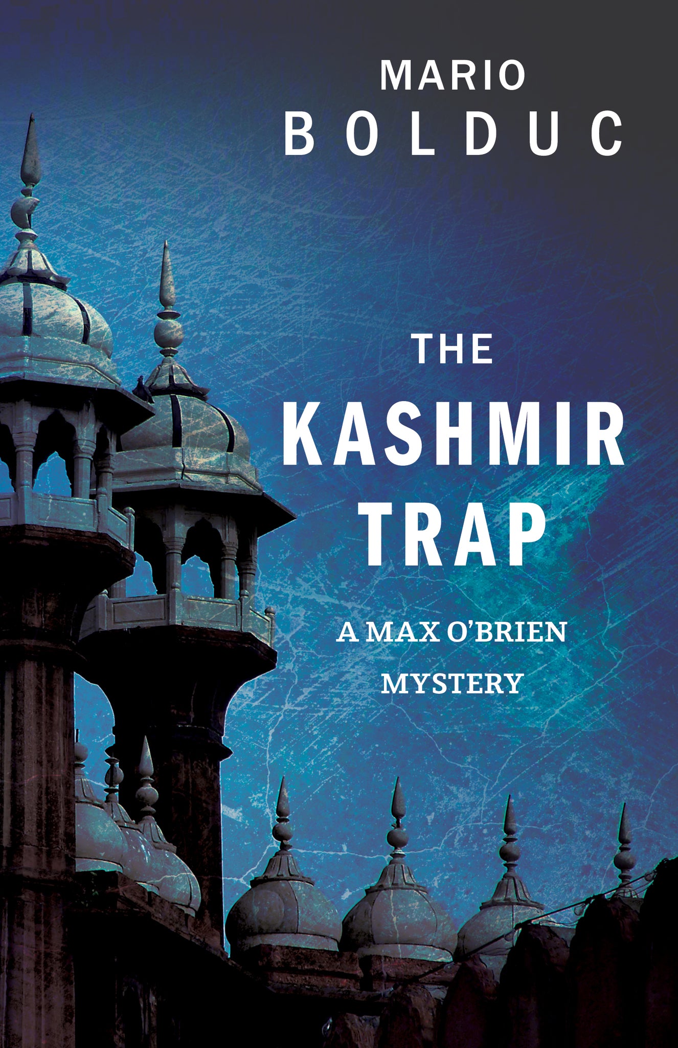 Cover image for The Kashmir Trap ISBN 9781459733480