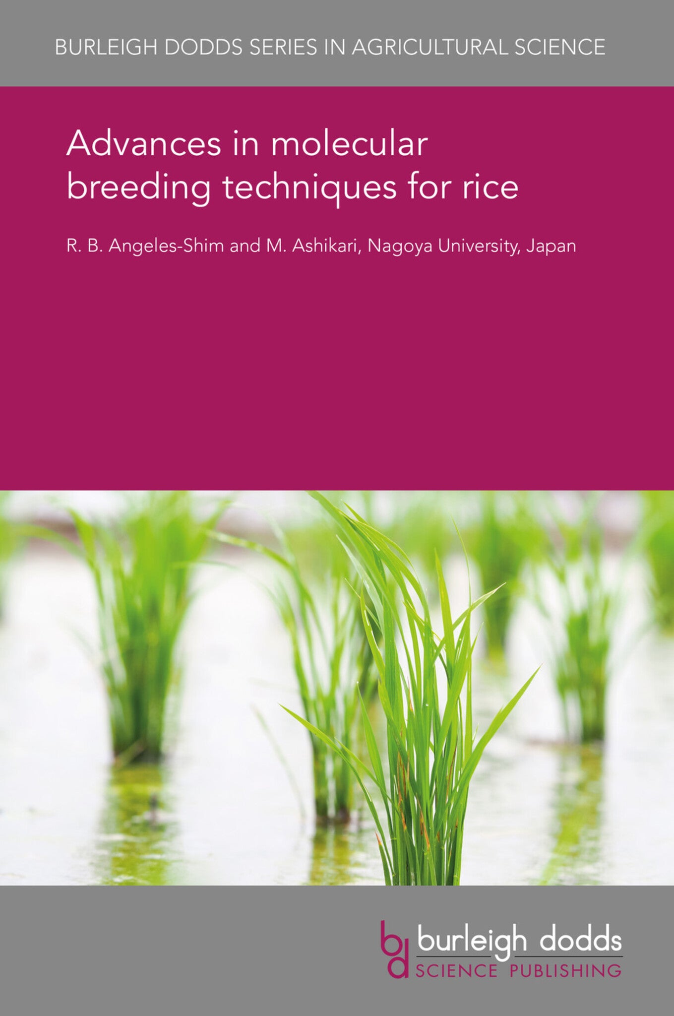 Cover image for Advances in molecular breeding techniques for rice ISBN 9781838792367