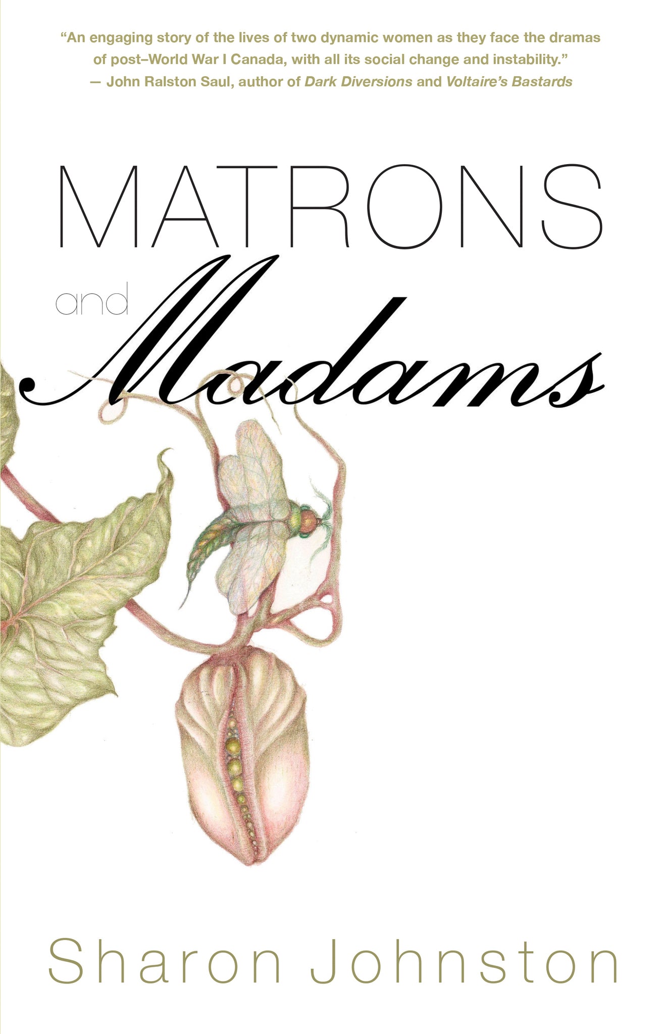 Cover image for Matrons and Madams ISBN 9781459728967