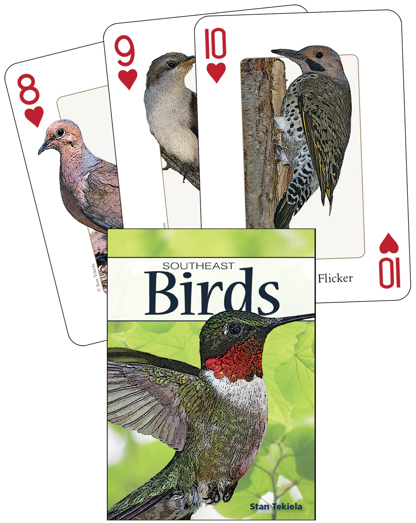 Birds of the Southeast Playing Cards