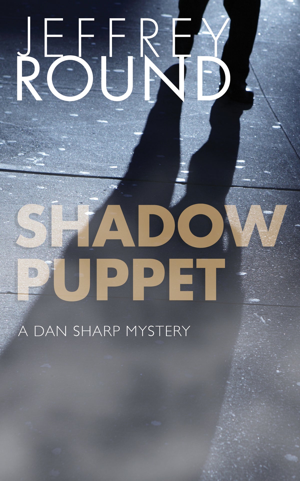 Cover image for Shadow Puppet ISBN 9781459740600