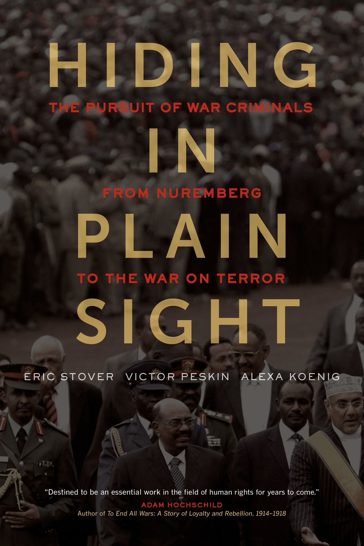 Cover image for Hiding in Plain Sight ISBN 9780520278059