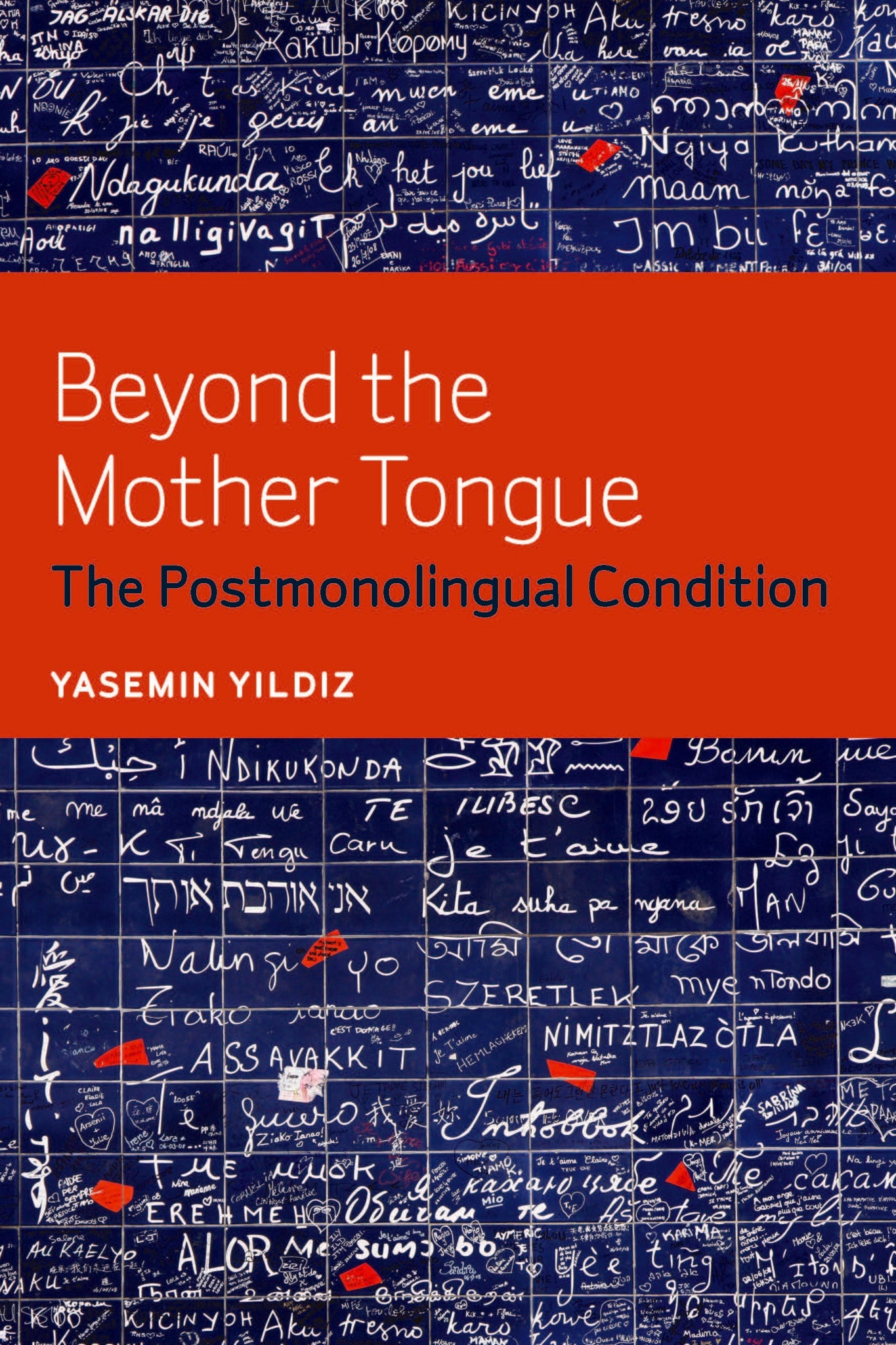 Beyond the Mother Tongue