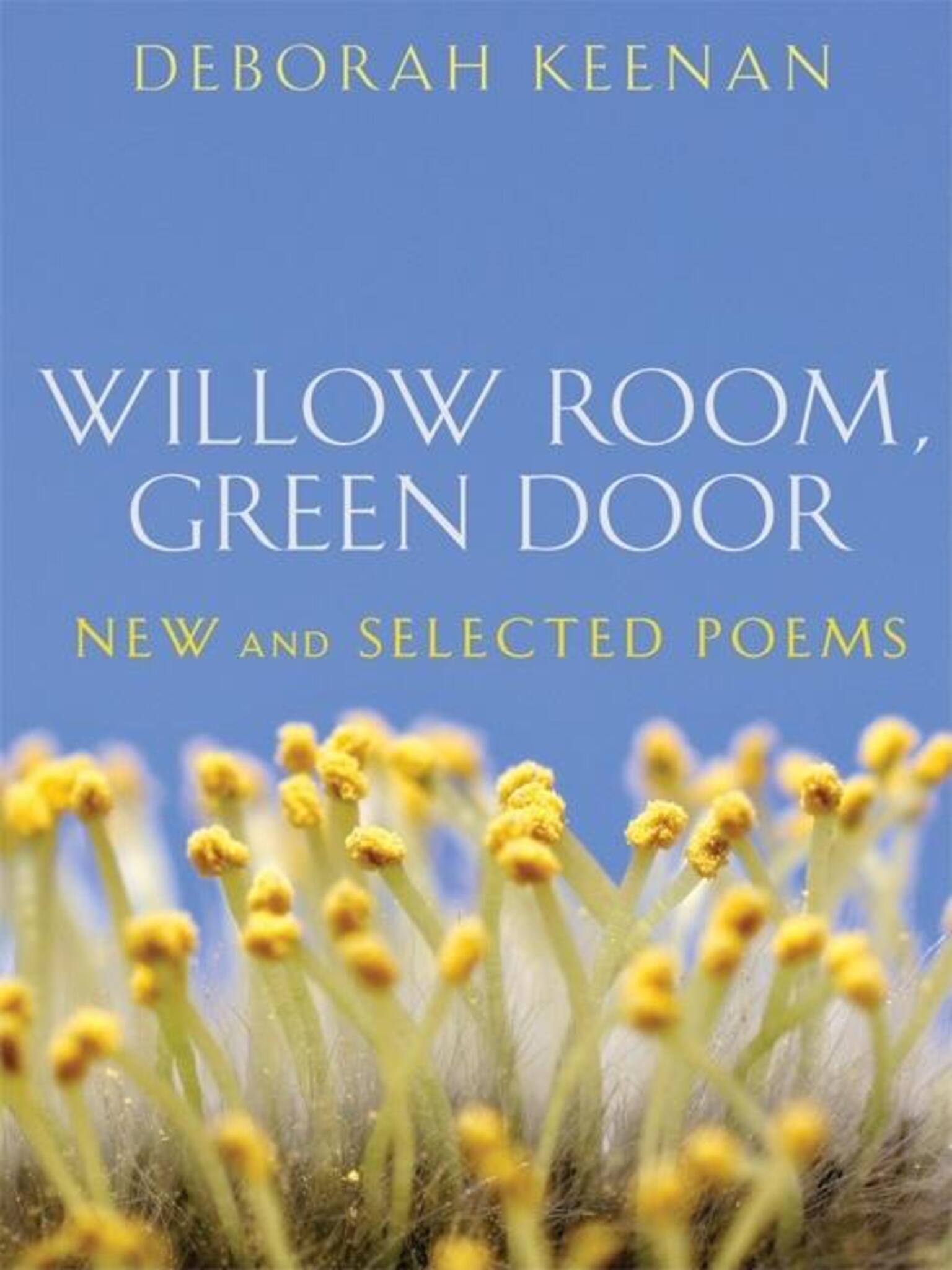 Cover image for Willow Room, Green Door ISBN 9781571314260