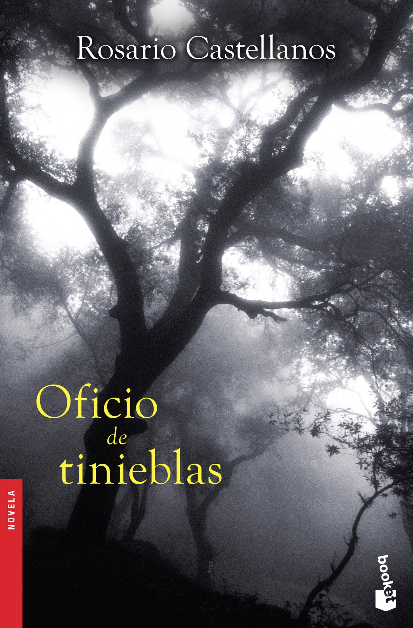 Oficio de tinieblas (Novela histórica) / The Book of Lamentations (A Historical Novel)