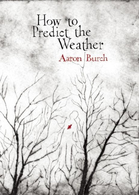 How to Predict the Weather