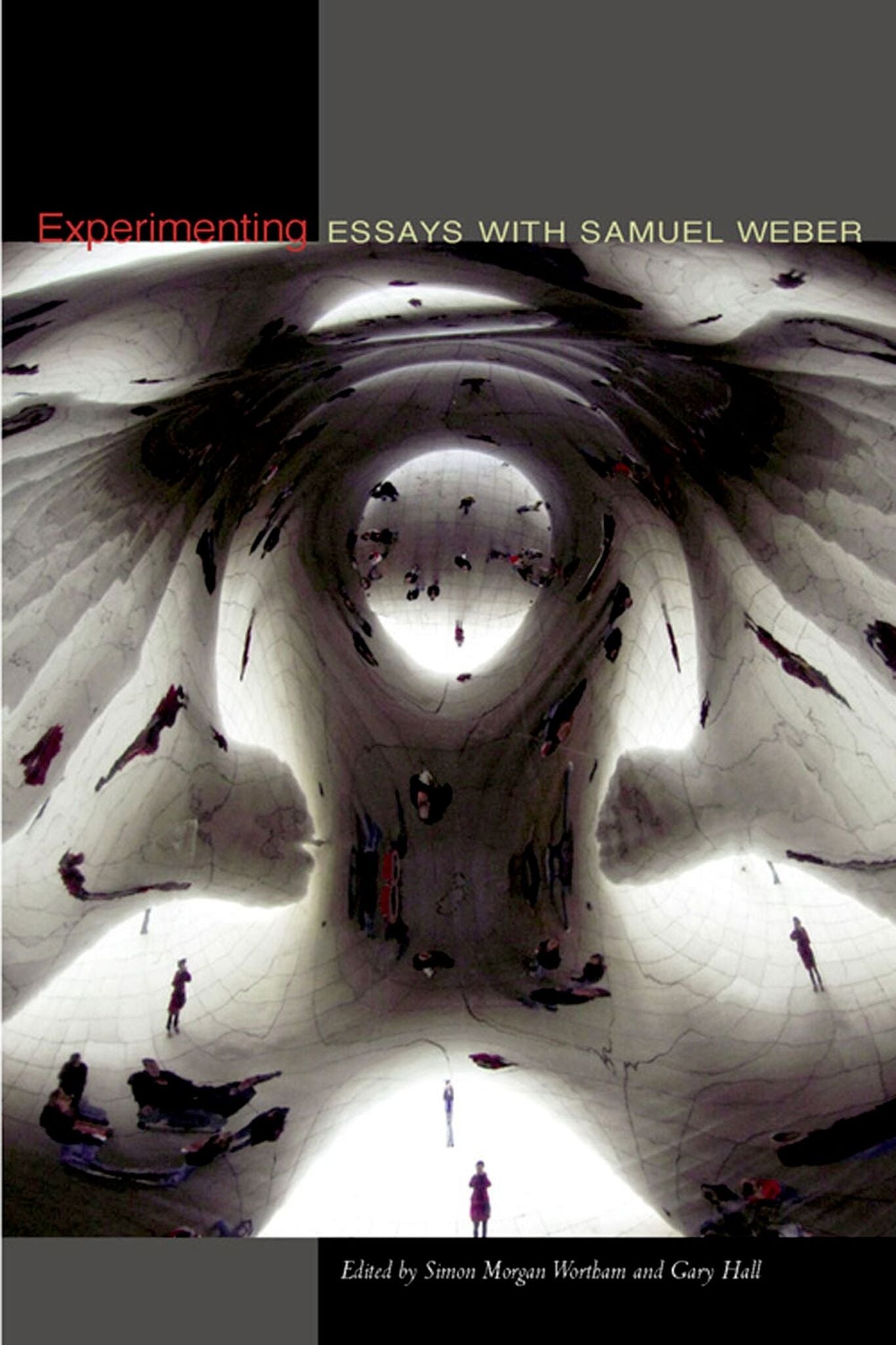 Cover image for Experimenting ISBN 9780823228157