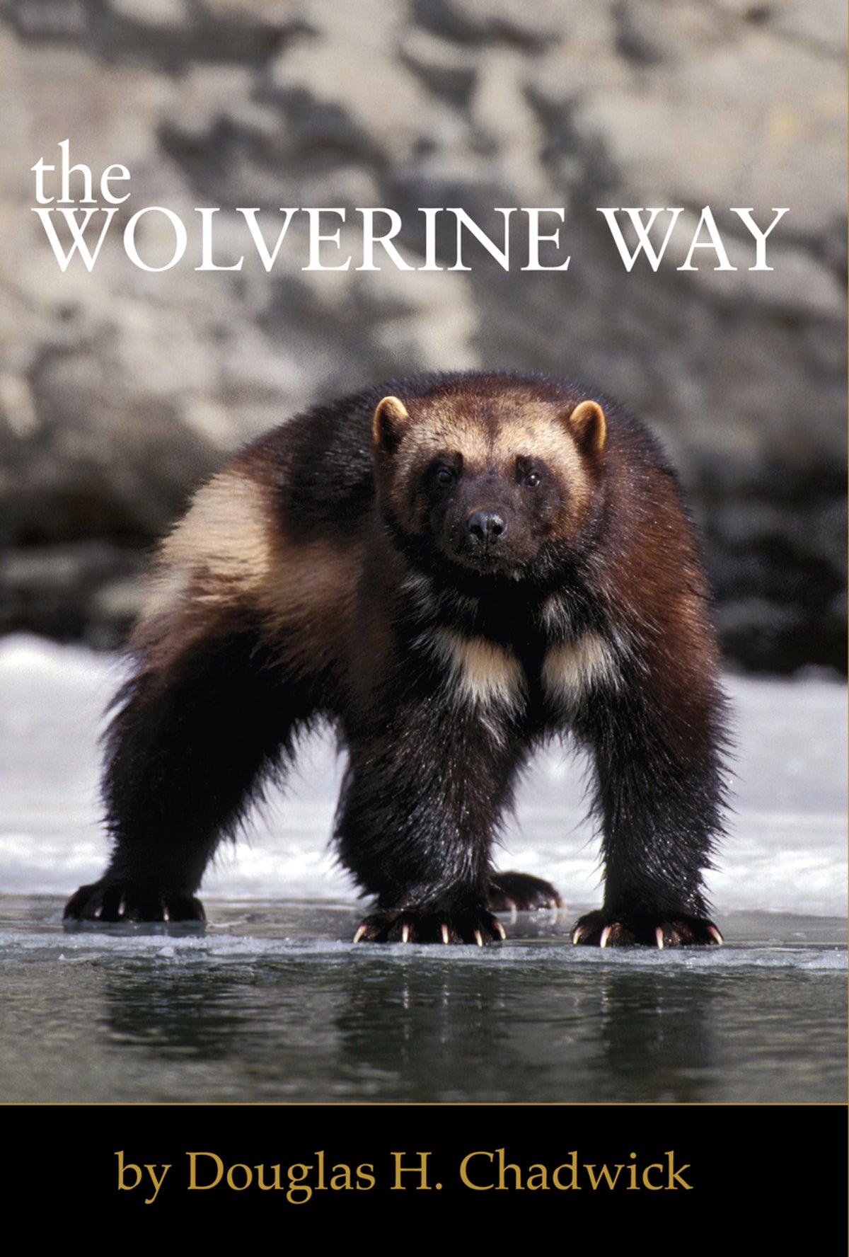 Cover image for The Wolverine Way ISBN 