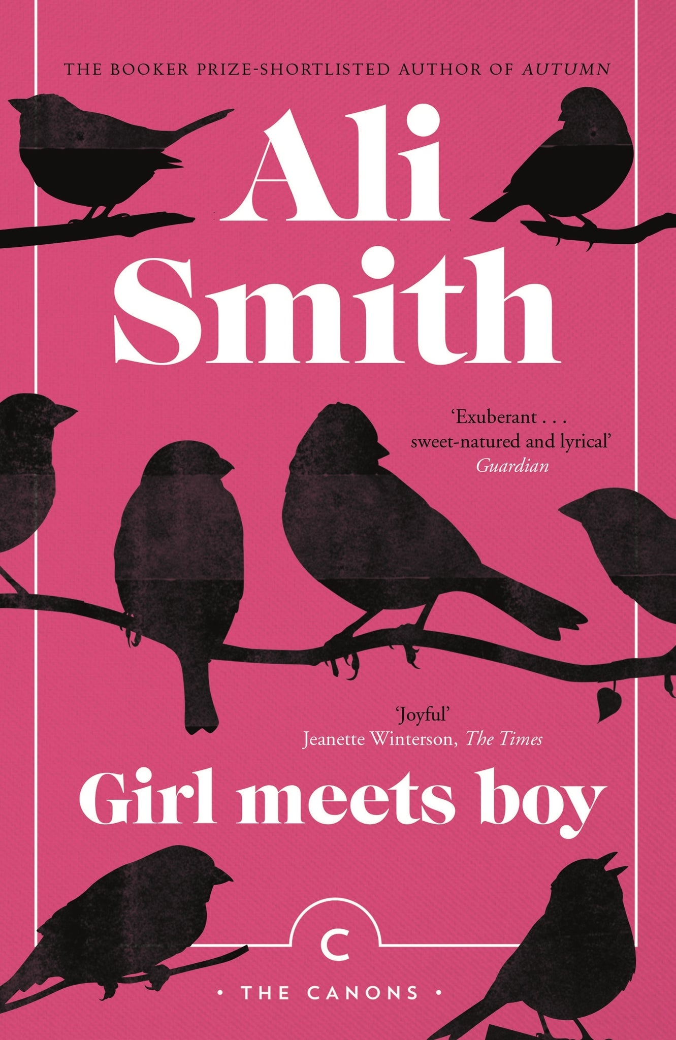 Cover image for Girl Meets Boy ISBN 9781786892478