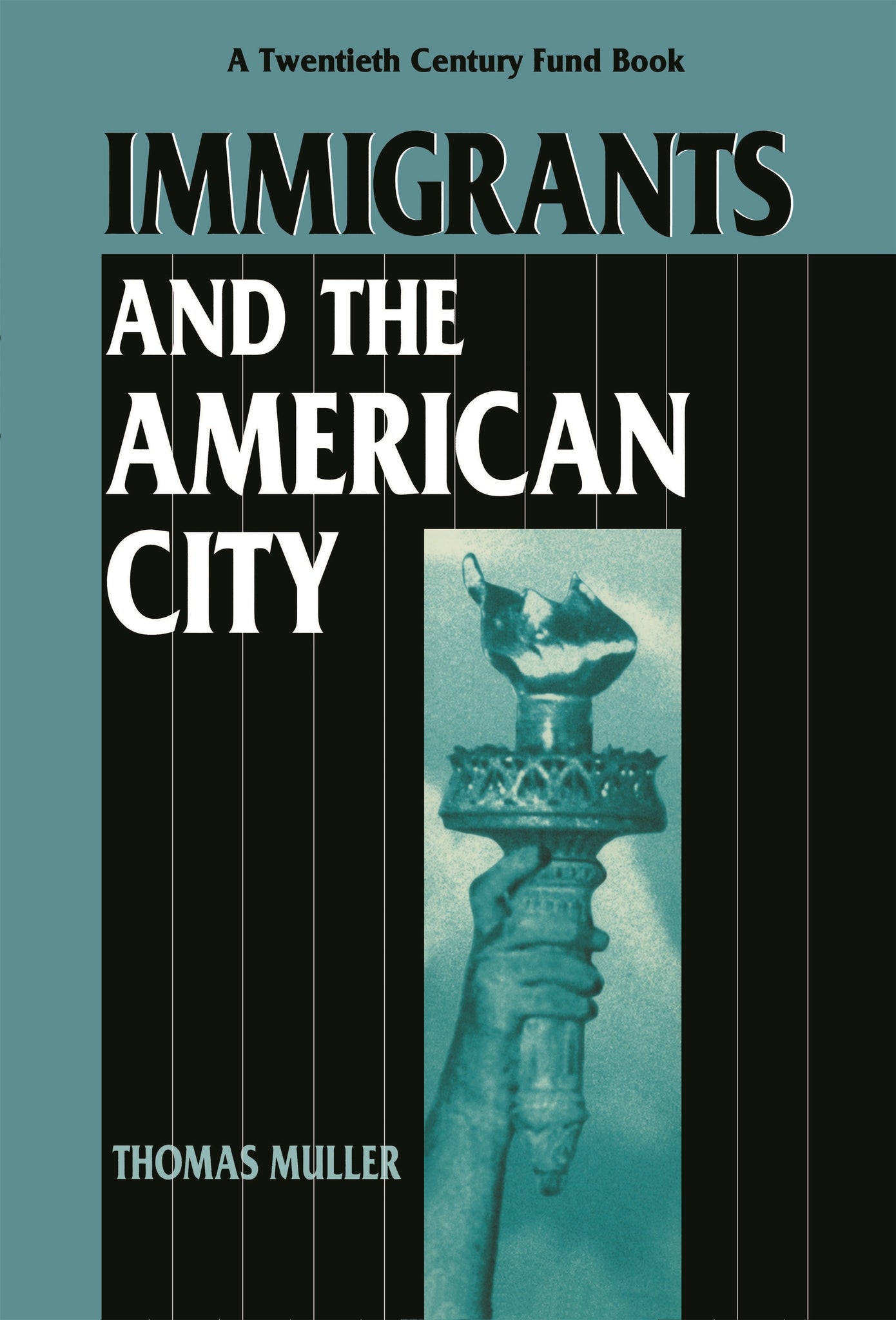 Cover image for Immigrants and the American City ISBN 9780814755068