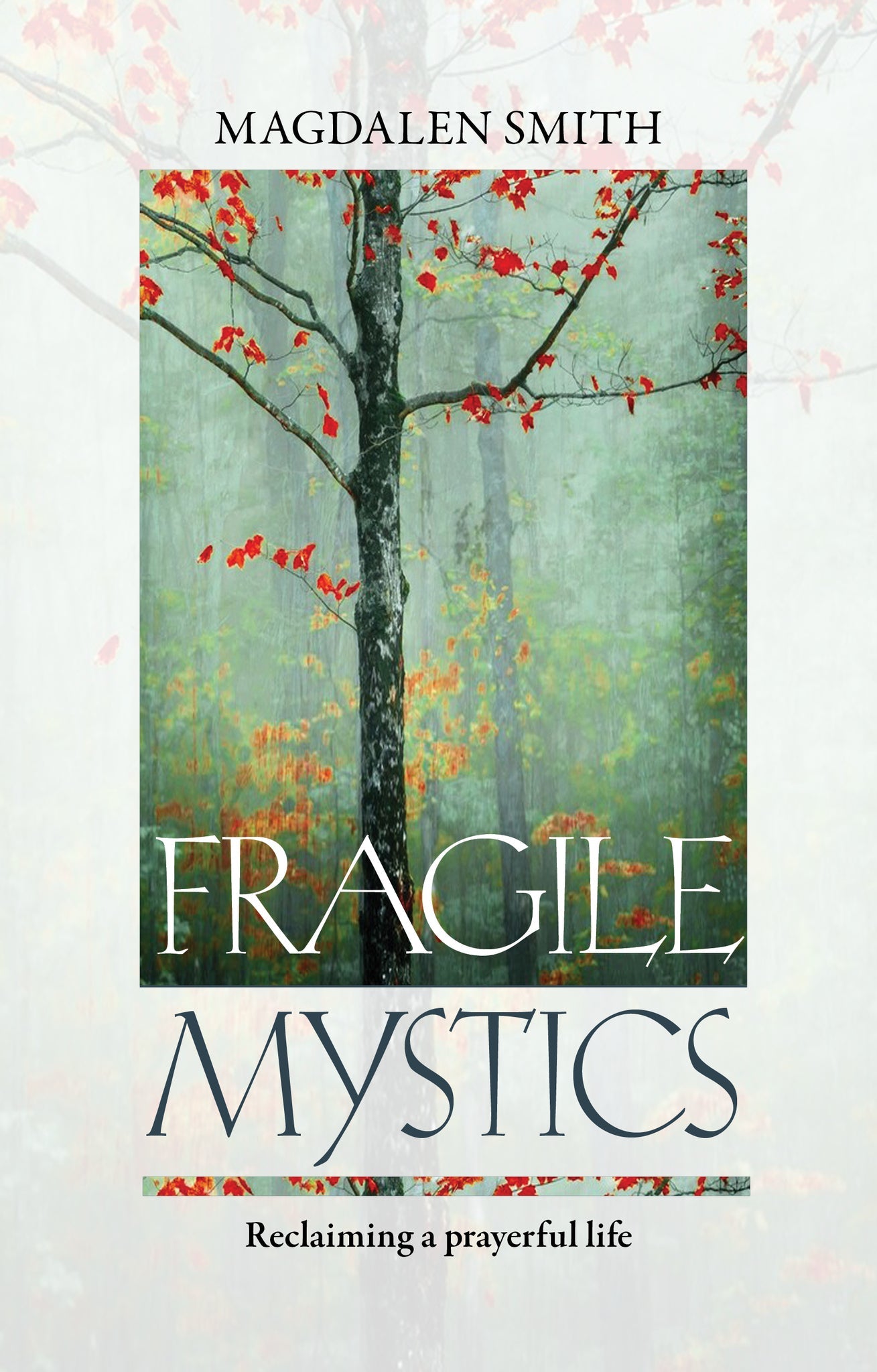 Cover image for Fragile Mystics ISBN 9780281073849
