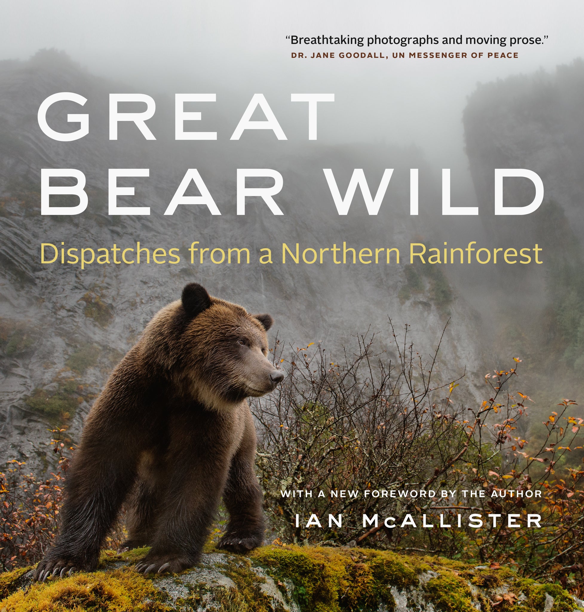 Cover image for Great Bear Wild ISBN 9781771640466