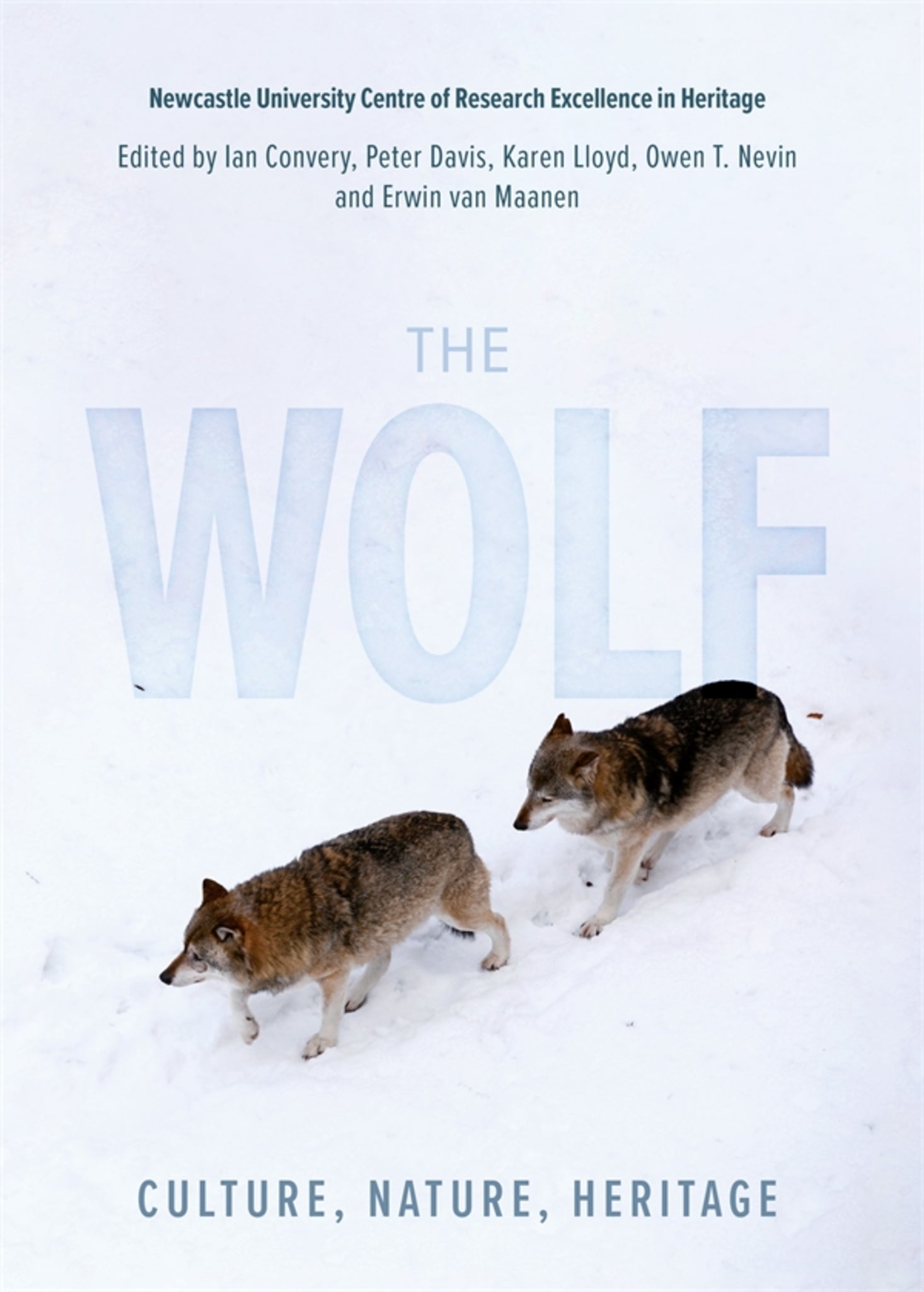 Cover image for The Wolf ISBN 9781837650156