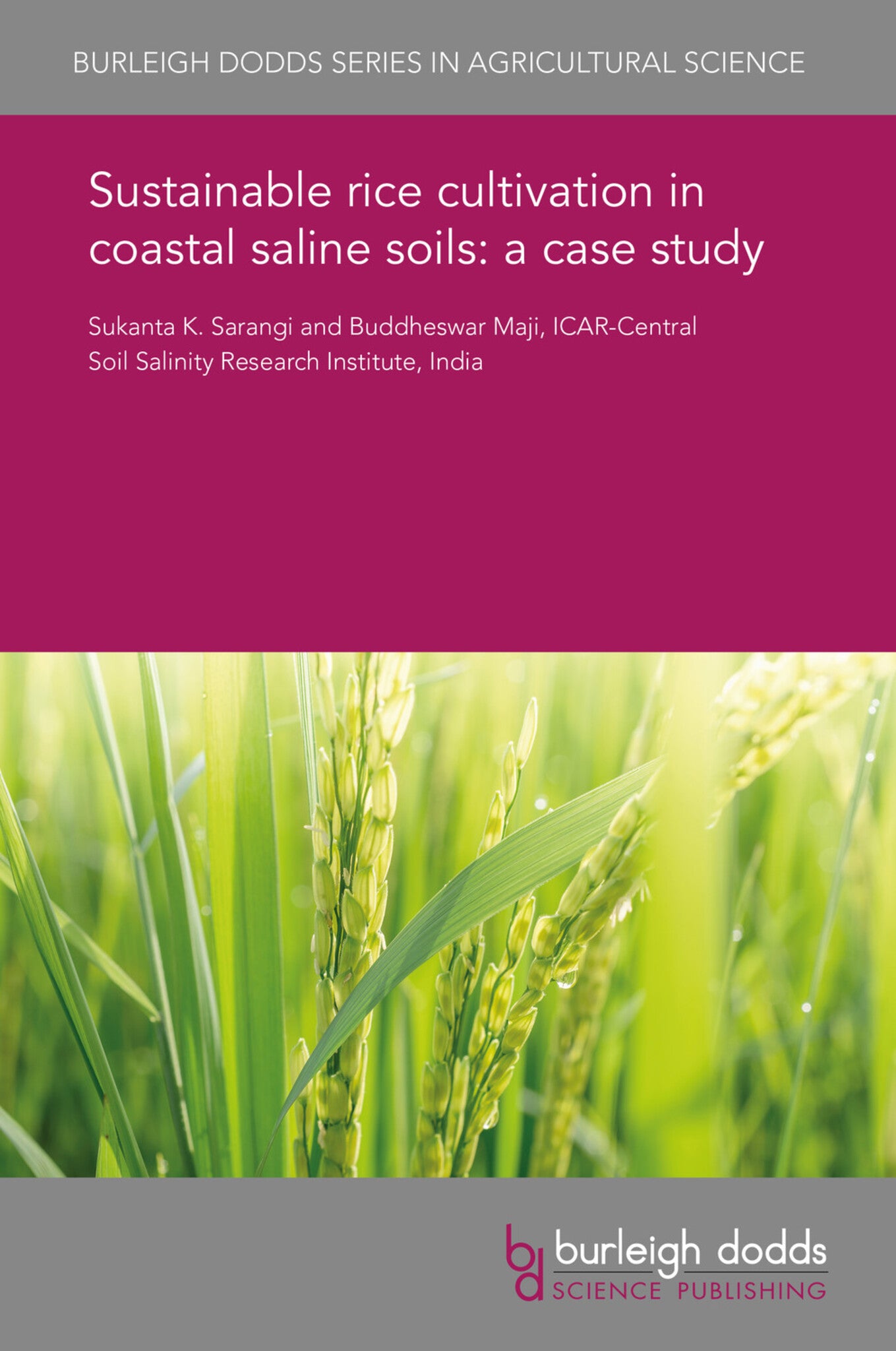 Cover image for Sustainable rice cultivation in coastal saline soils: a case study ISBN 9781838792398