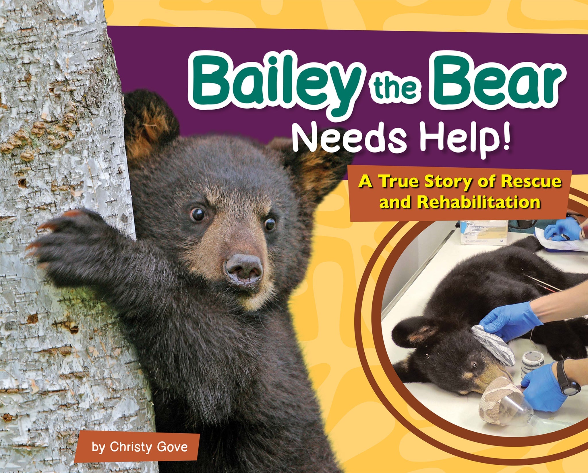 Cover image for Bailey the Bear Needs Help! ISBN 9781647553456