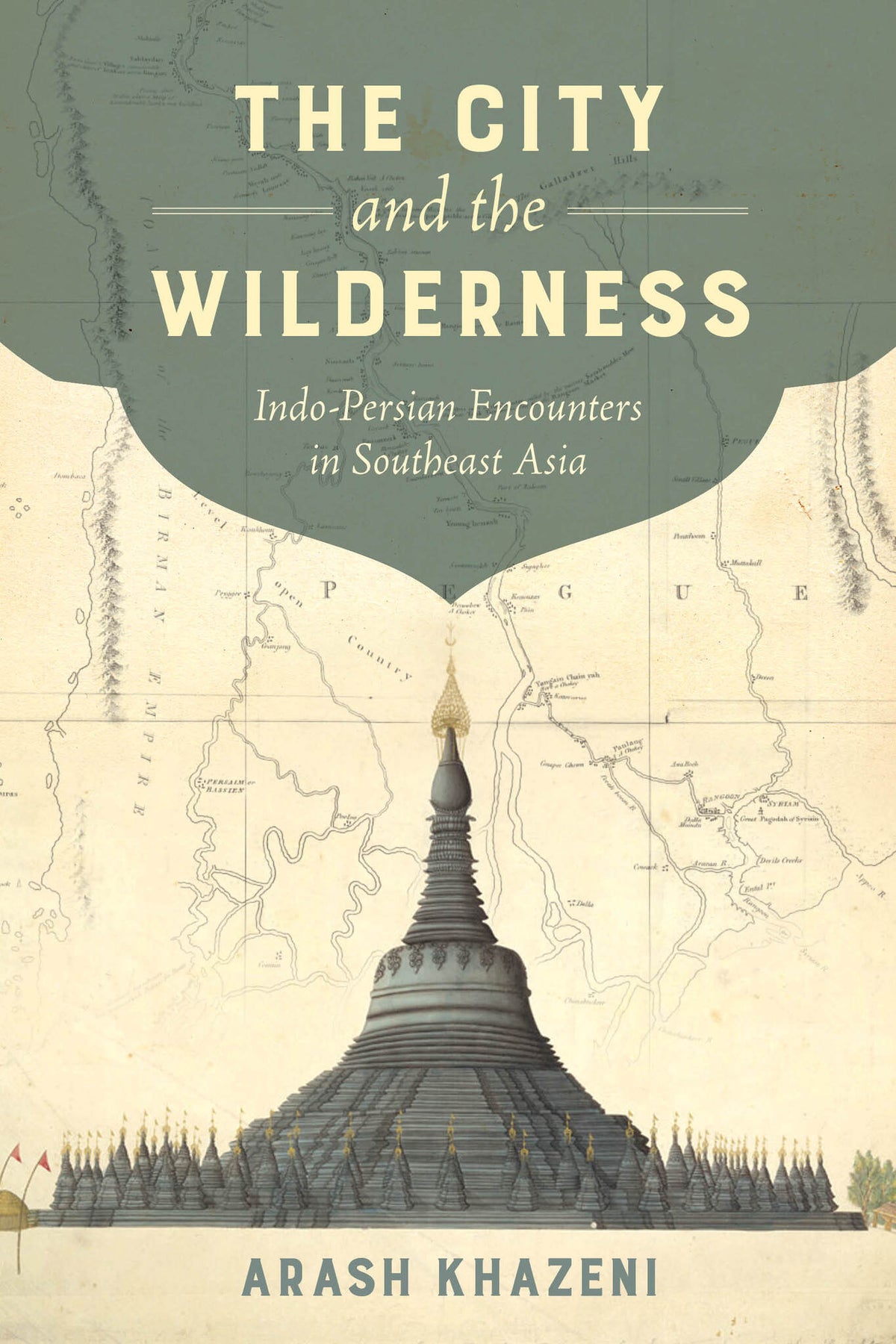 Cover image for The City and the Wilderness ISBN 9780520289680