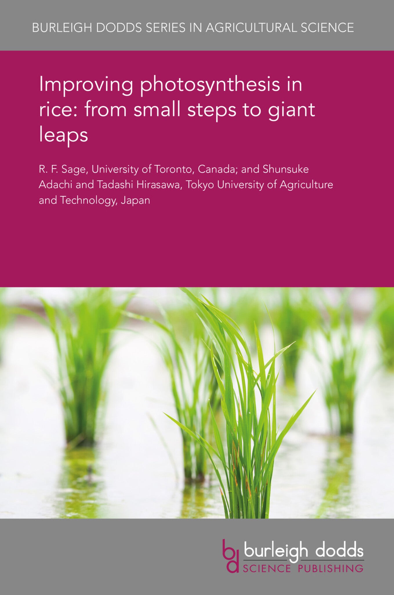 Cover image for Improving photosynthesis in rice: from small steps to giant leaps ISBN 9781838792374