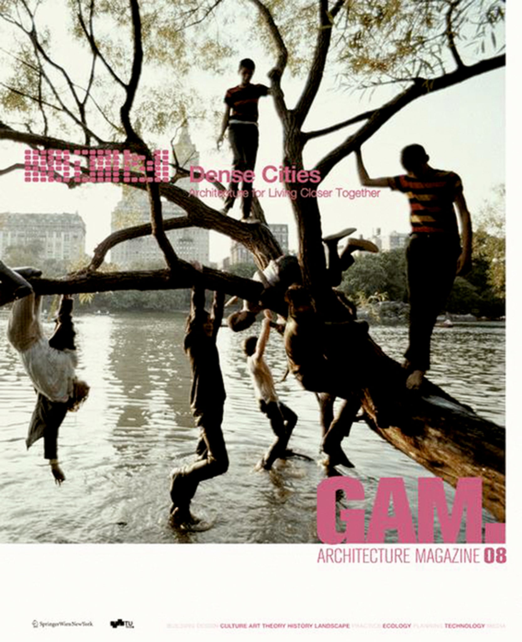 Cover image for GAM 08 Dense Cities ISBN 9783990434741