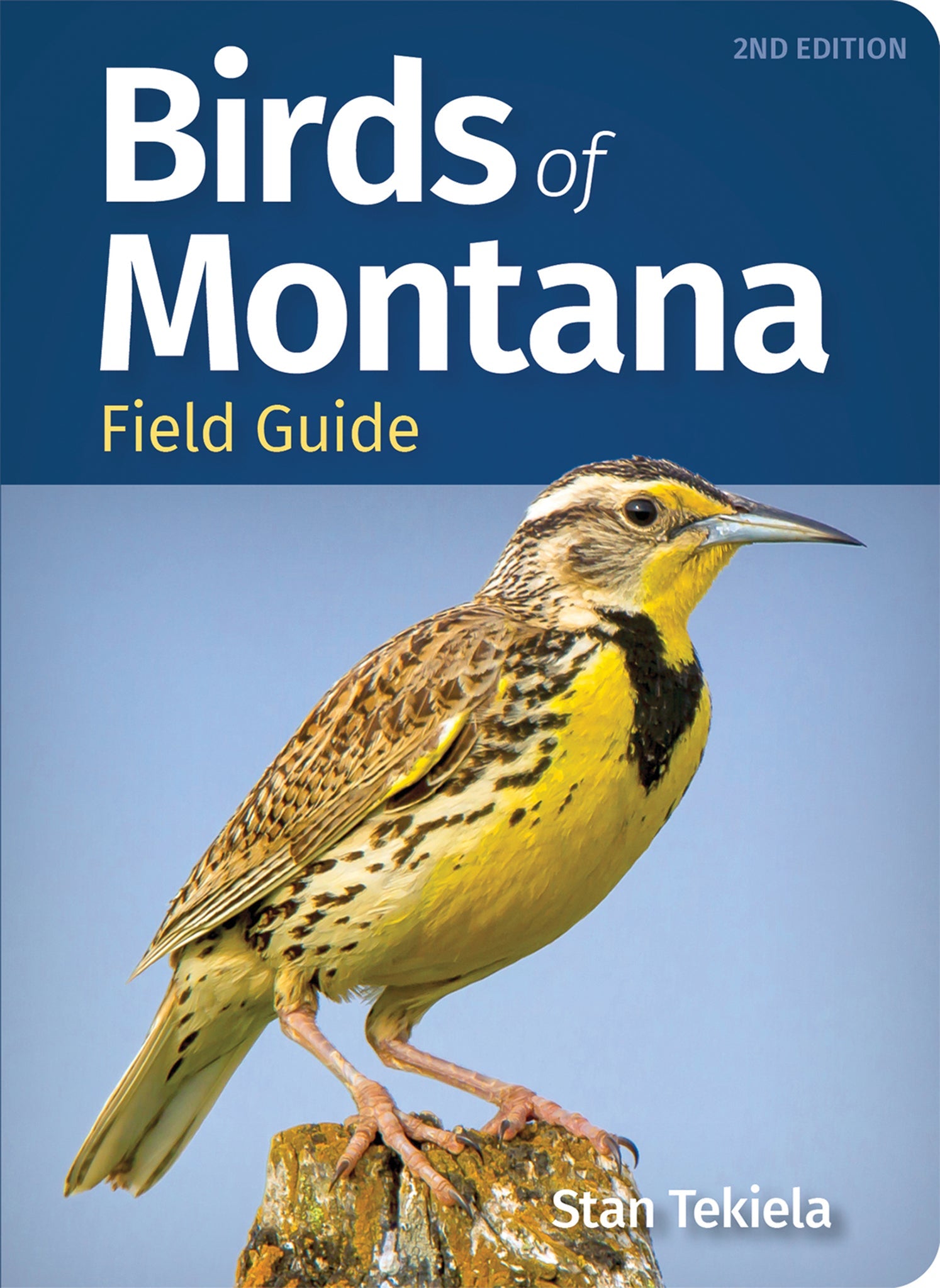 Cover image for Birds of Montana Field Guide ISBN 9781647553029
