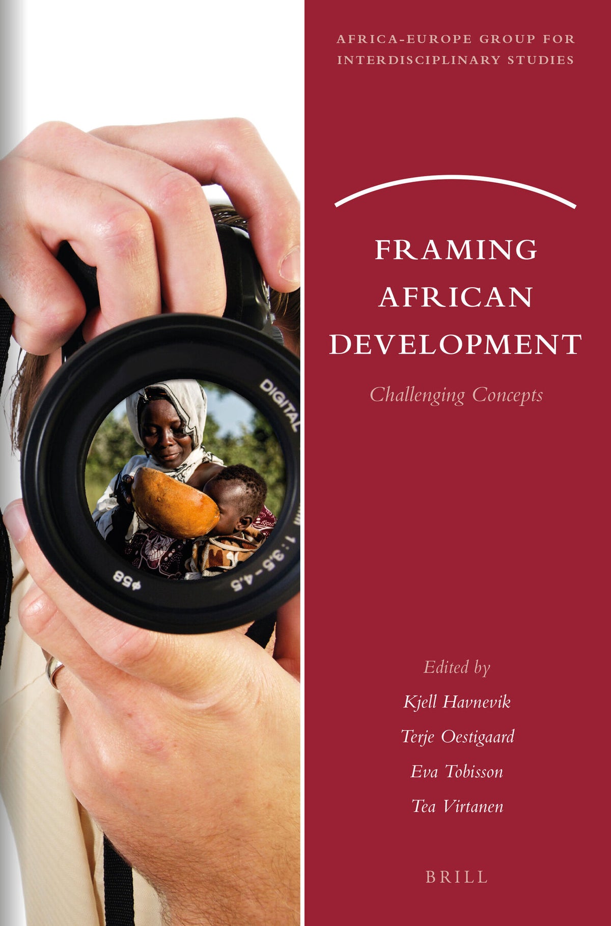 Cover image for Framing African Development ISBN 9789004305410