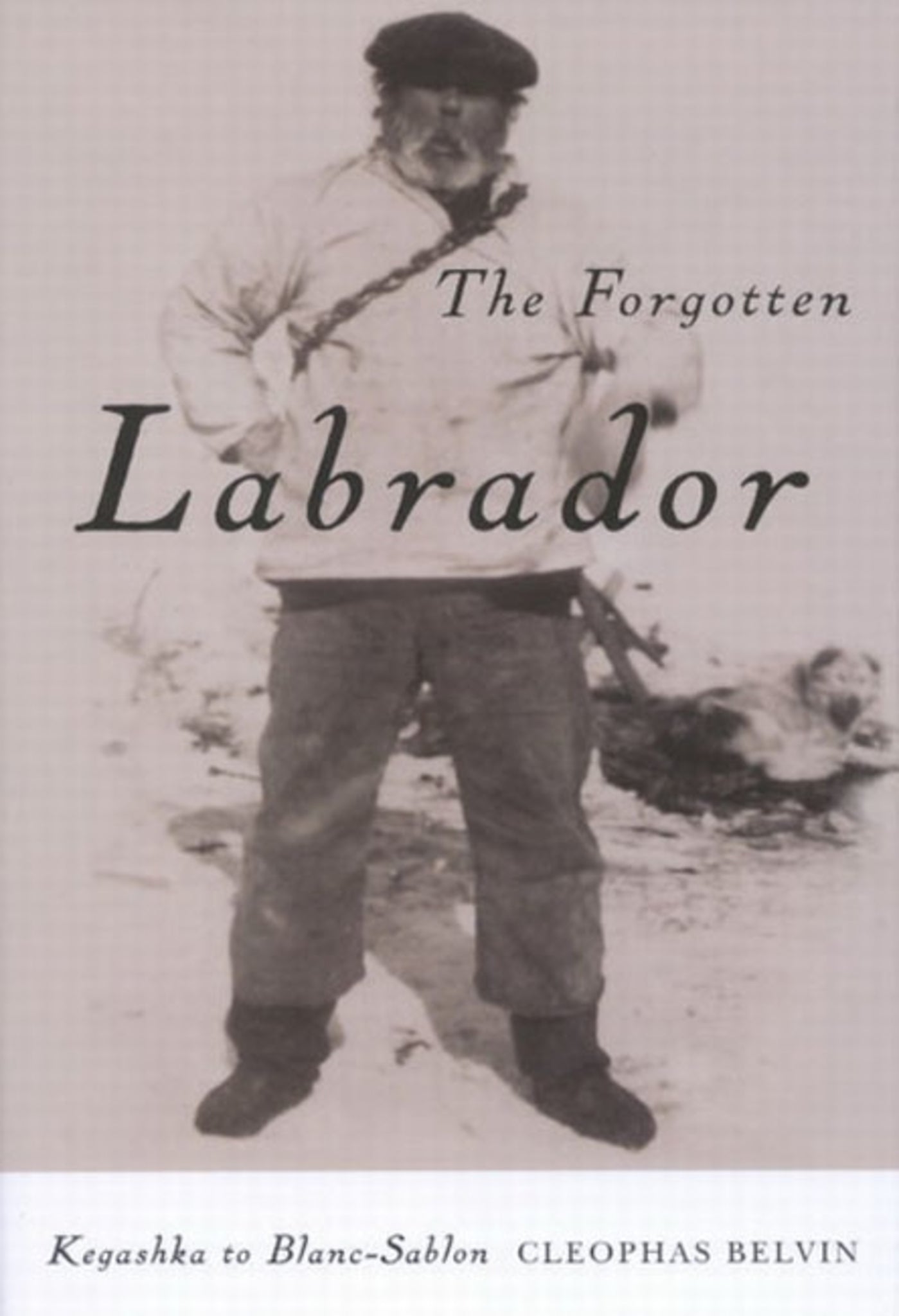 The Forgotten Labrador