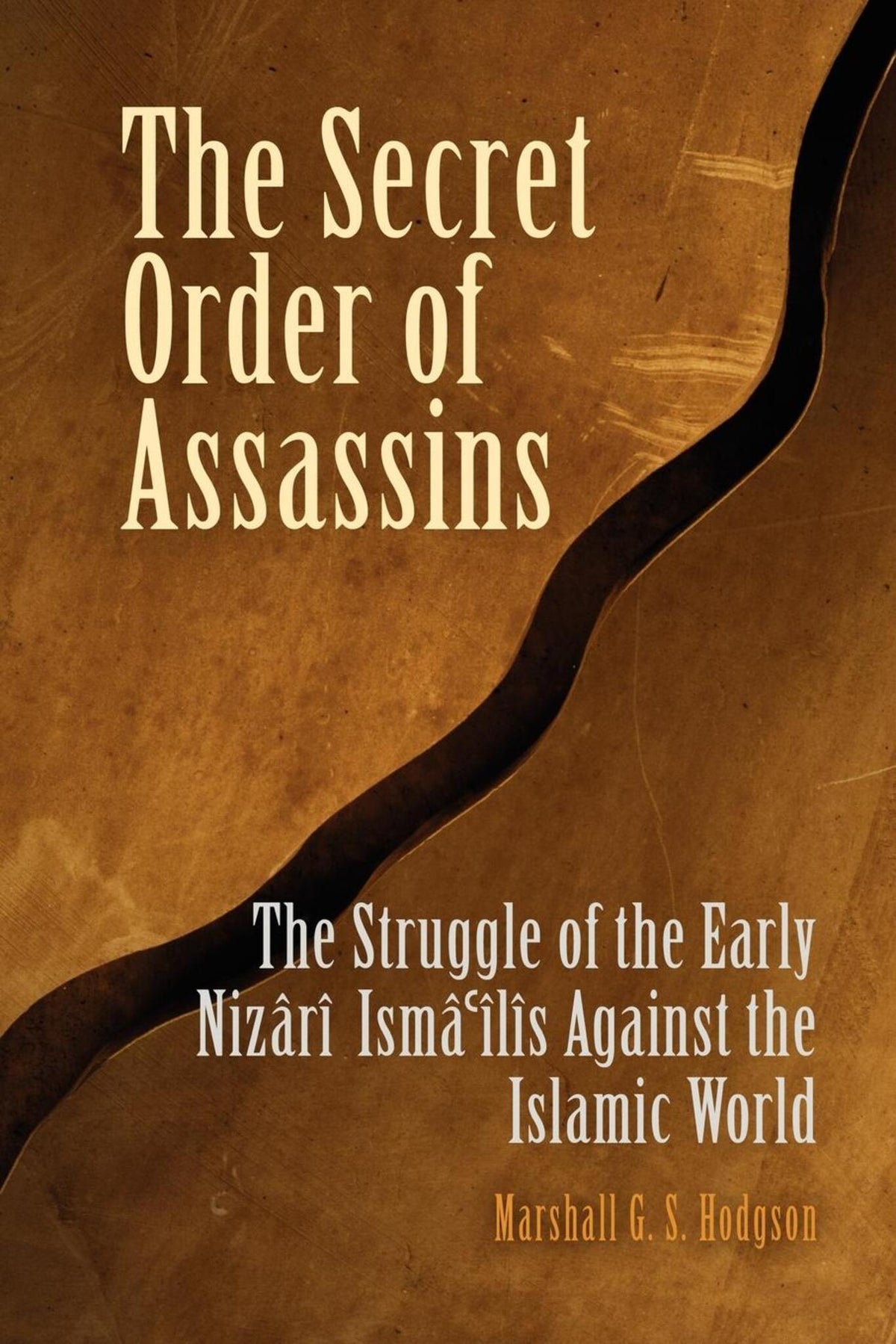 Cover image for The Secret Order of Assassins ISBN 9780812219166