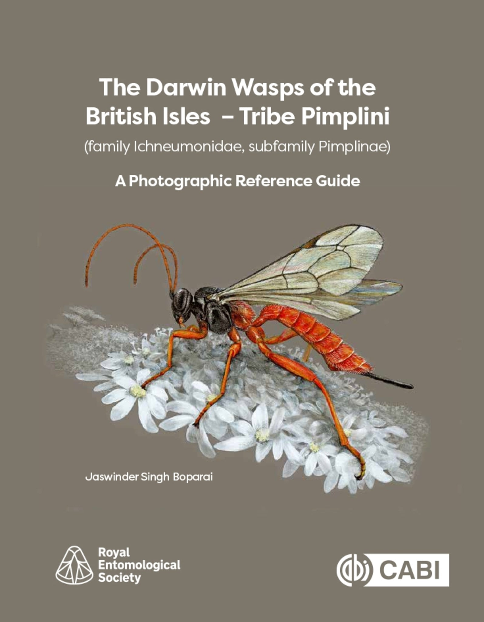 The Darwin Wasps of the British Isles  – Tribe Pimplini (family Ichneumonidae, subfamily Pimplinae)