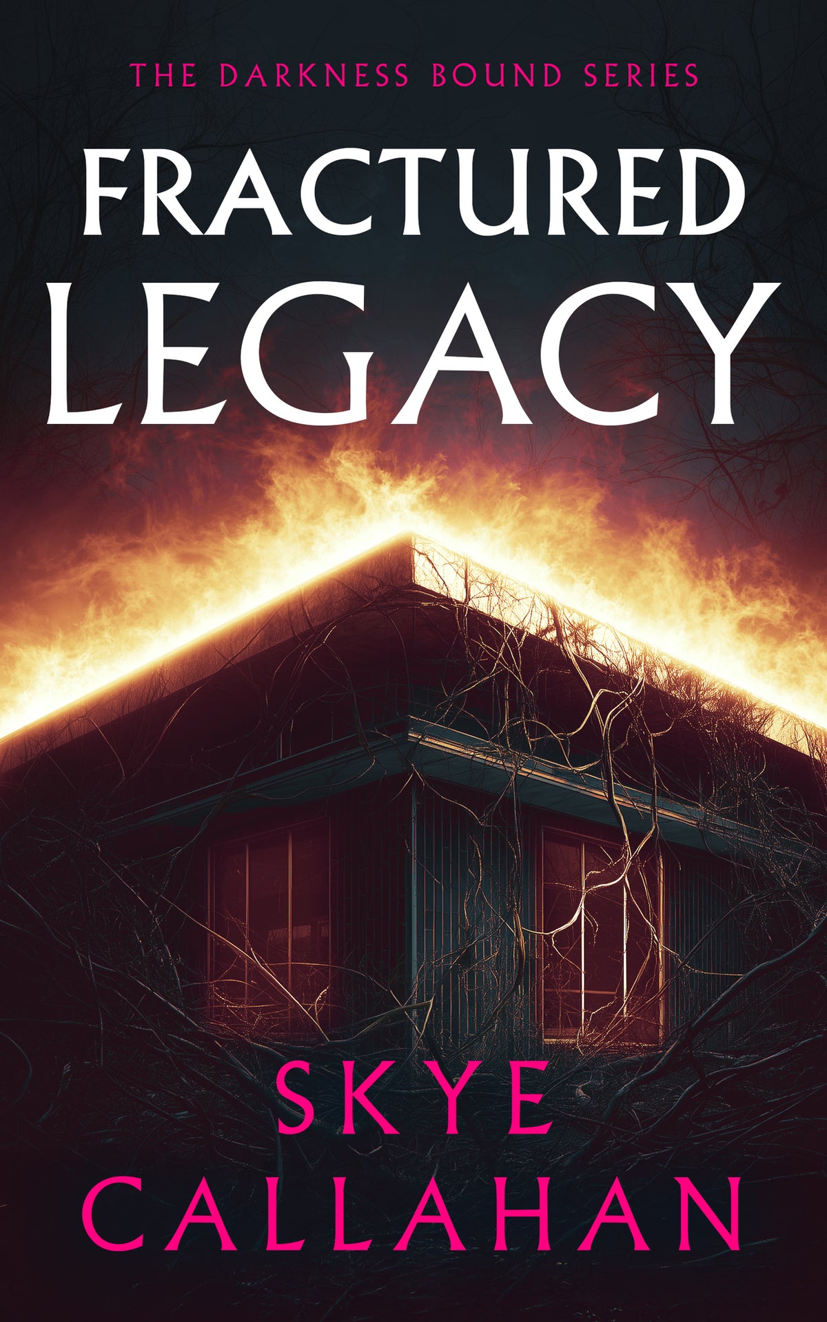 Cover image for Fractured Legacy ISBN 9781036711665