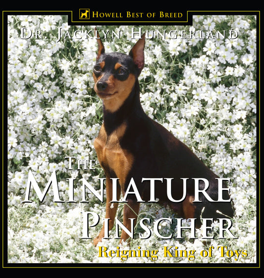 Miniature Pinscher