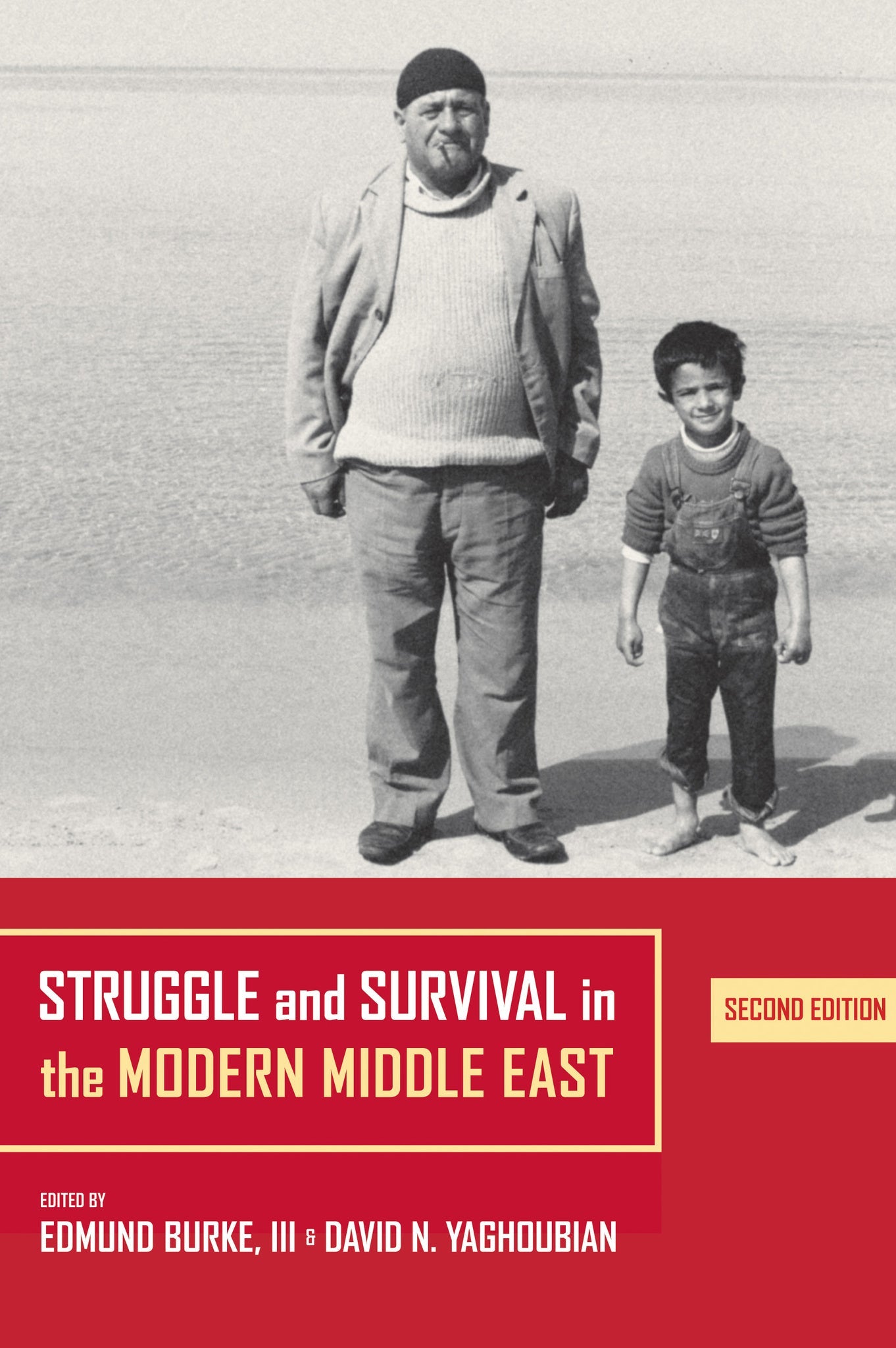 Cover image for Struggle and Survival in the Modern Middle East ISBN 9780520932500