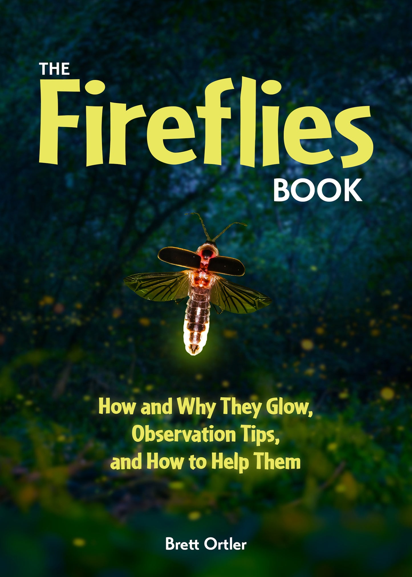The Fireflies Book