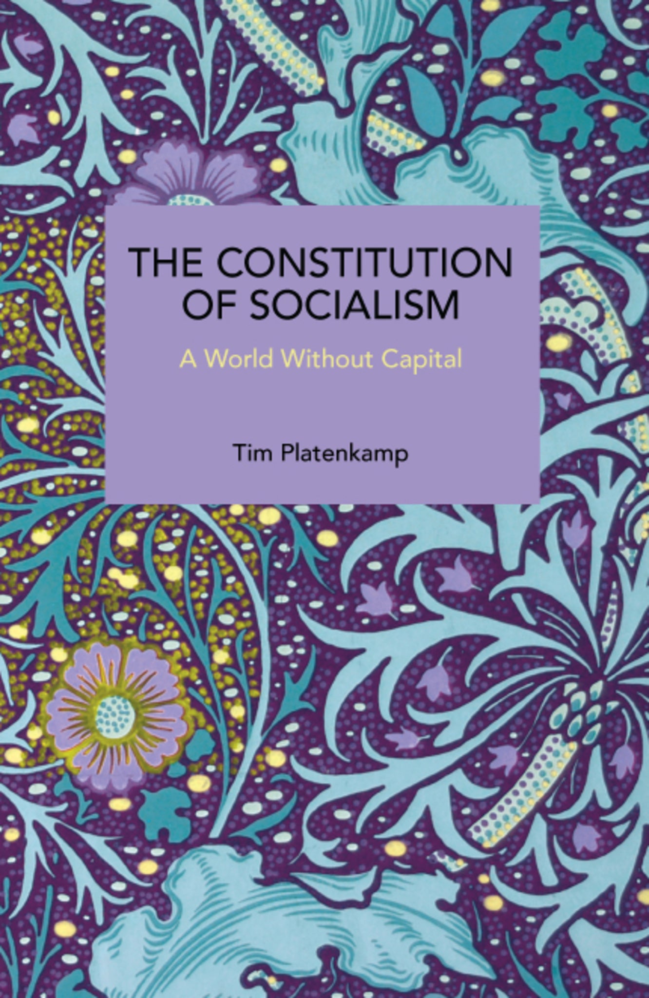 The Constitution of Socialism