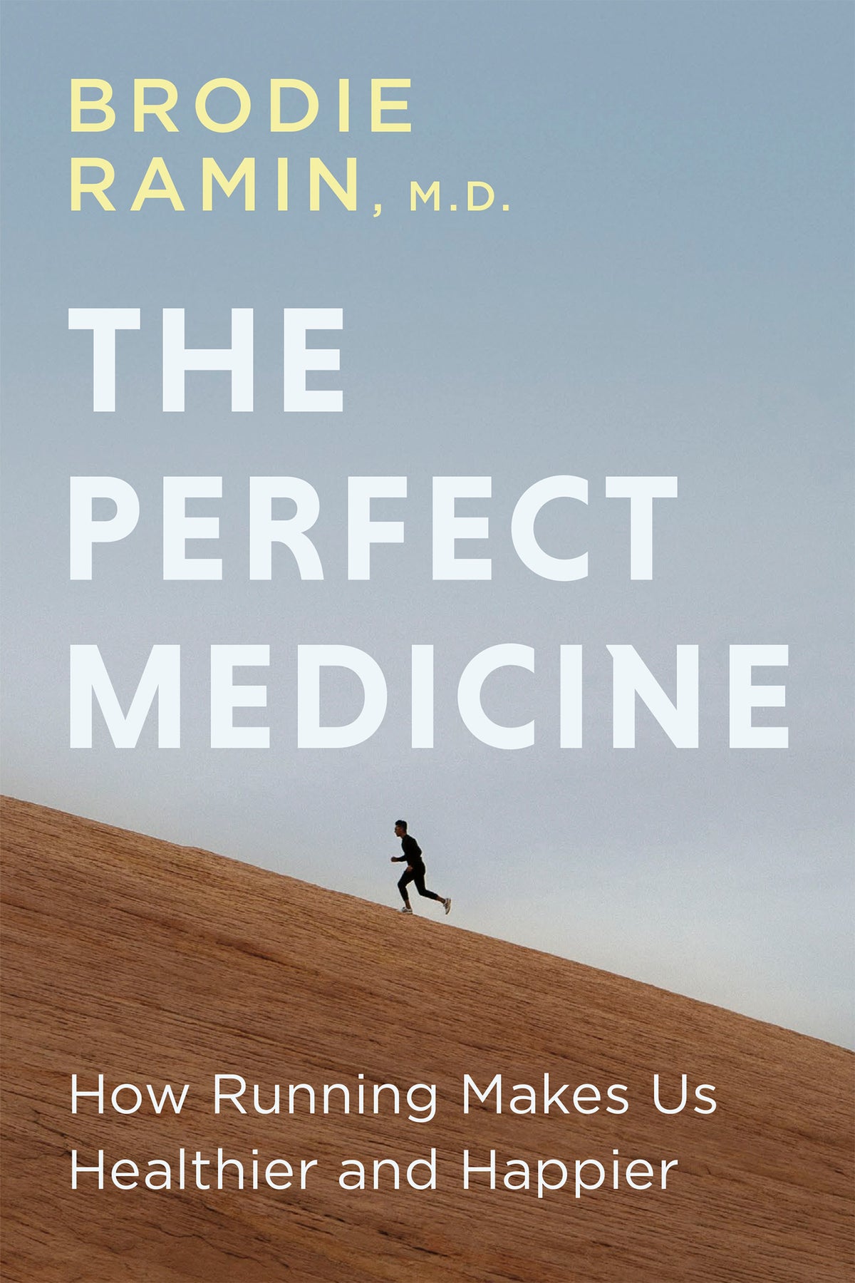Cover image for The Perfect Medicine ISBN 9781459748200