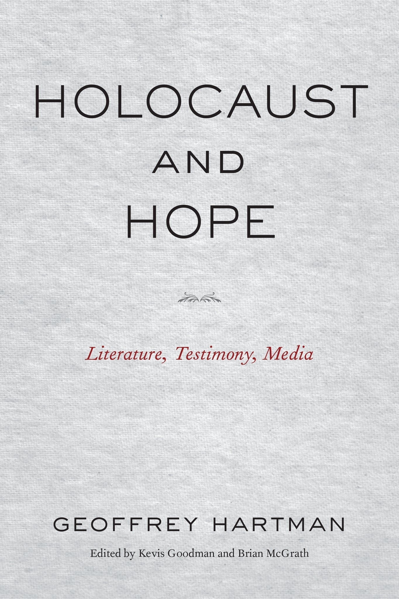Cover image for Holocaust and Hope ISBN 9781531512200