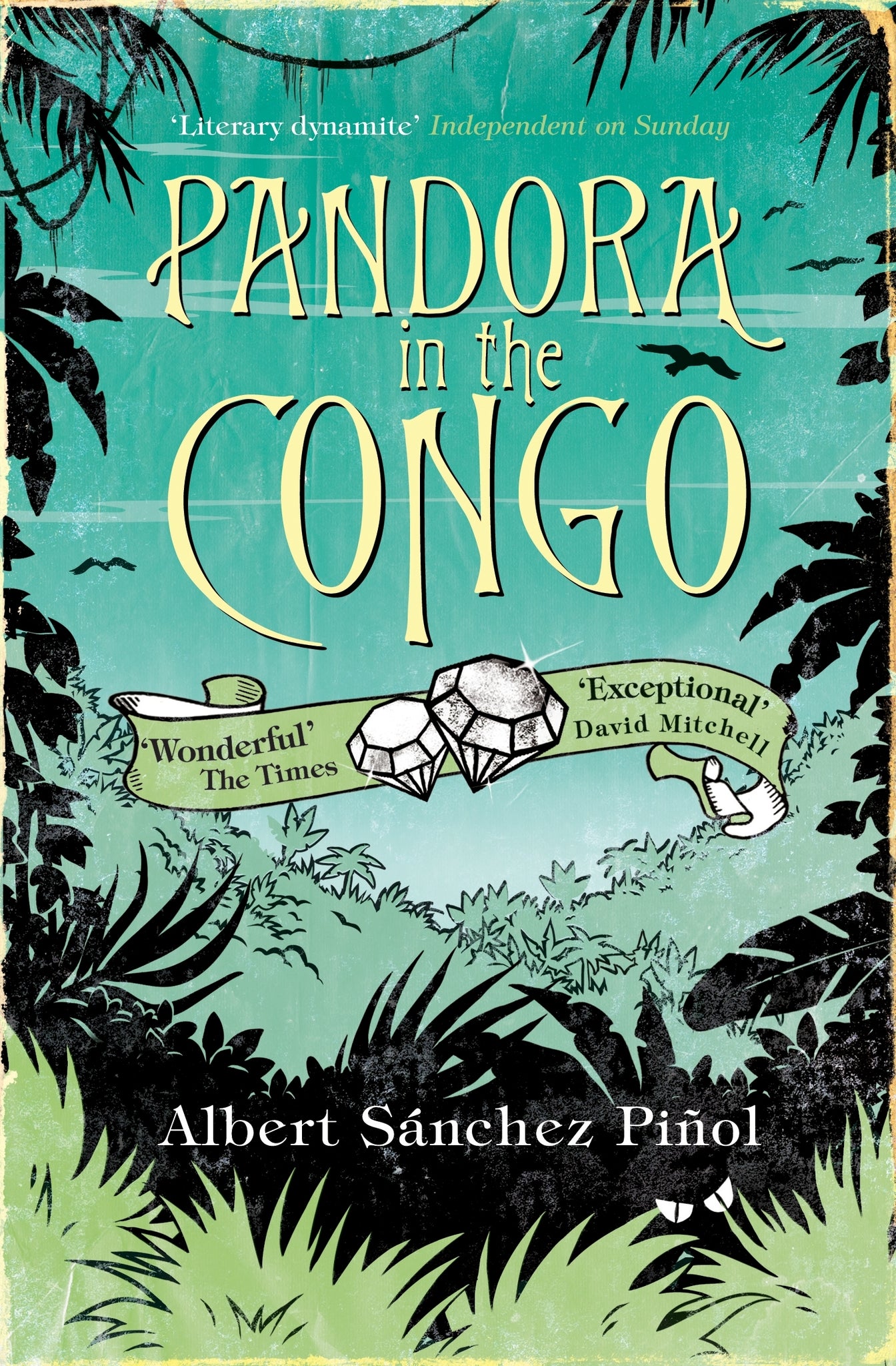 Cover image for Pandora In The Congo ISBN 9781847671240