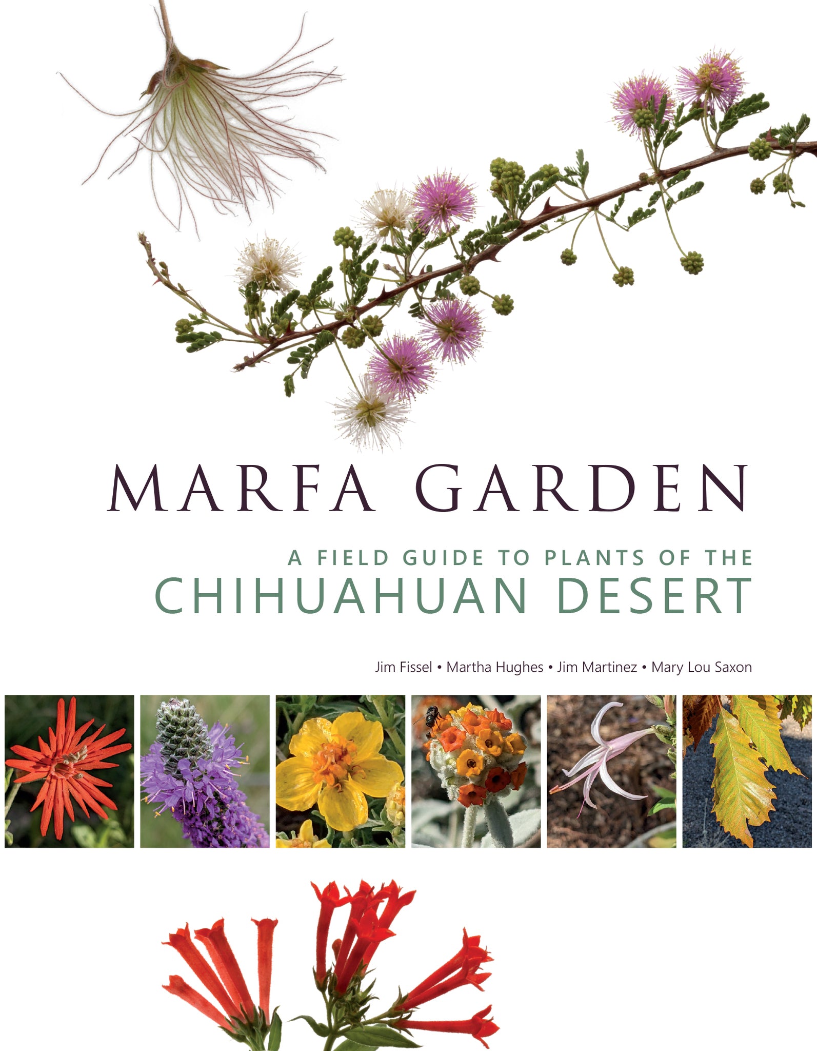 Cover image for Marfa Garden ISBN 9781595343161