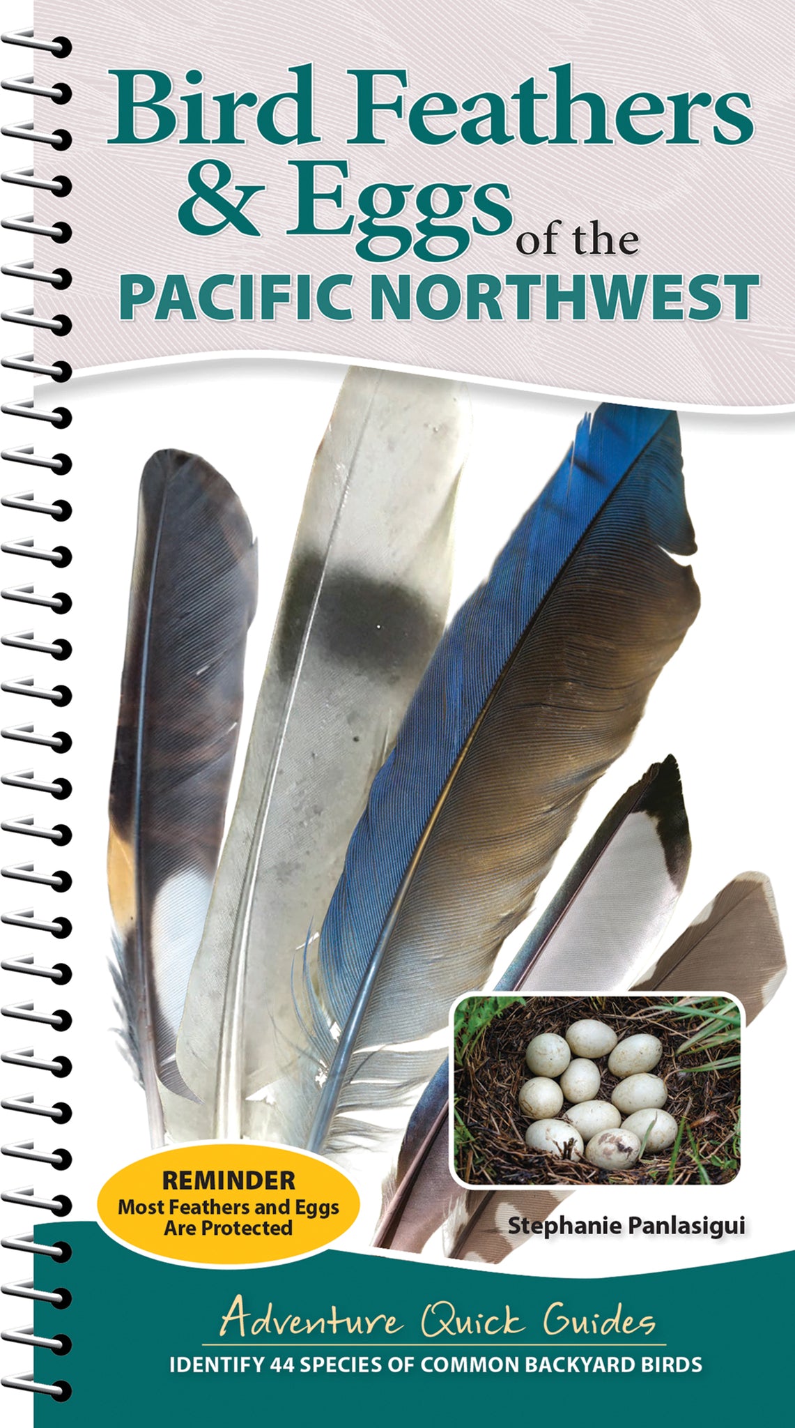 Bird Feathers & Eggs of the Pacific Northwest