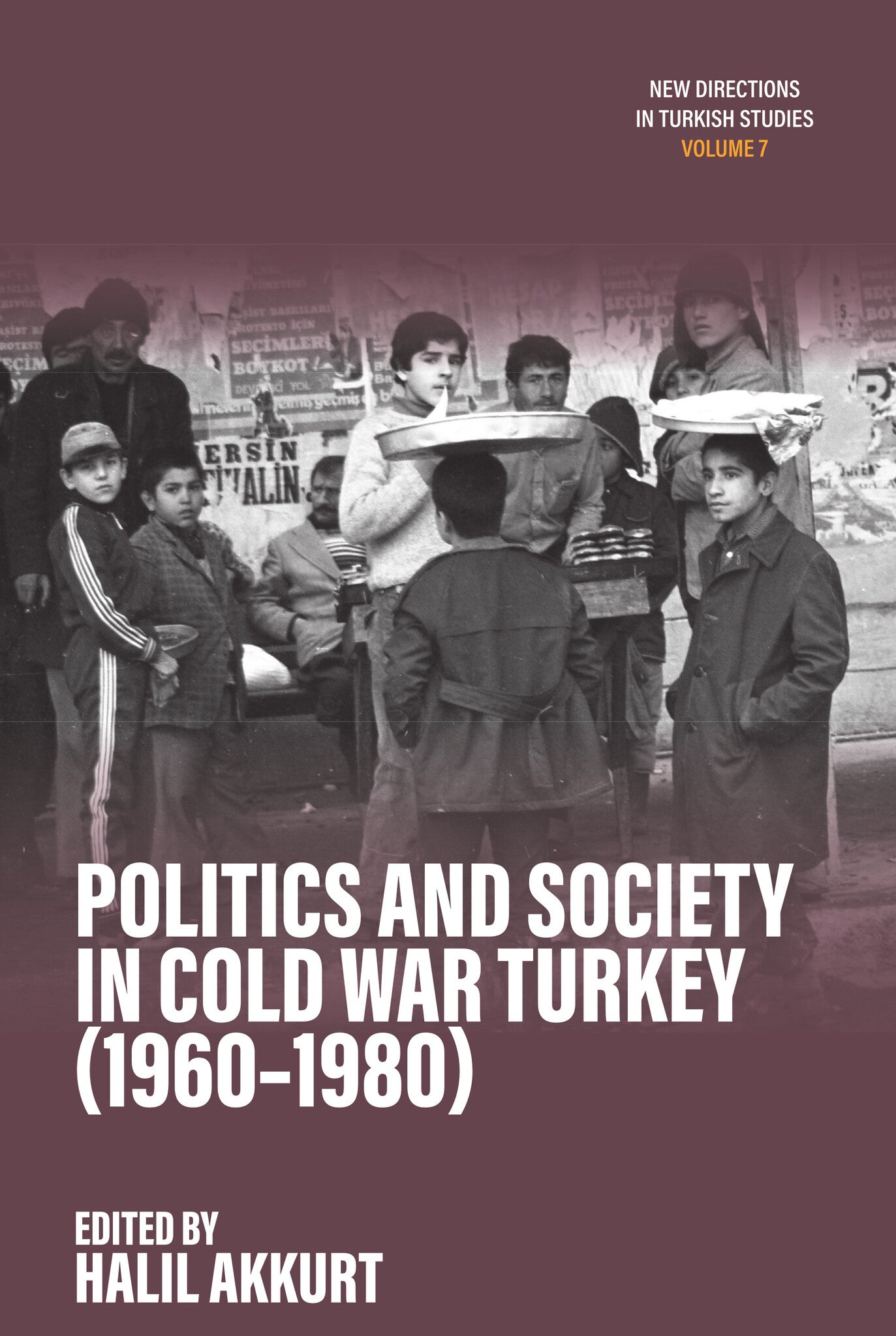 Politics and Society in Cold War Turkey (1960-1980)