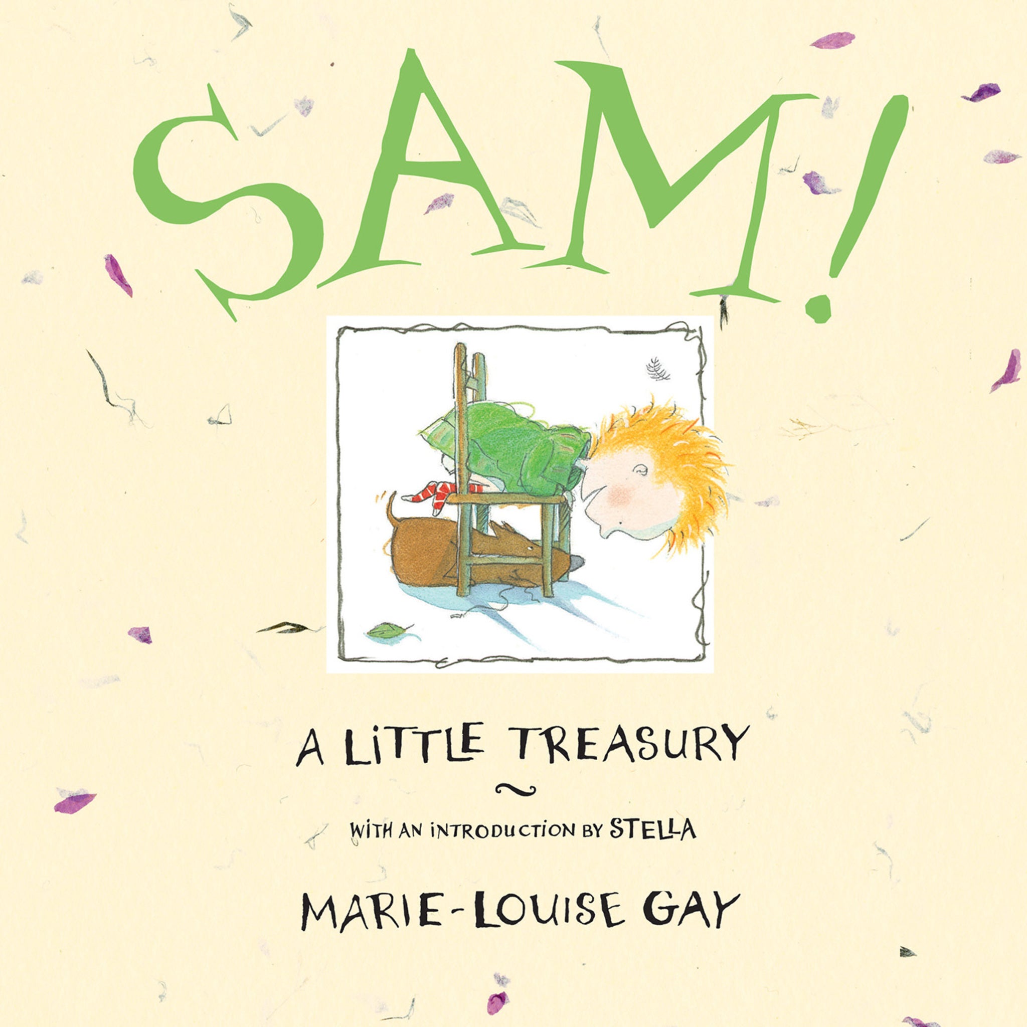 Cover image for Sam! ISBN 9781554987054