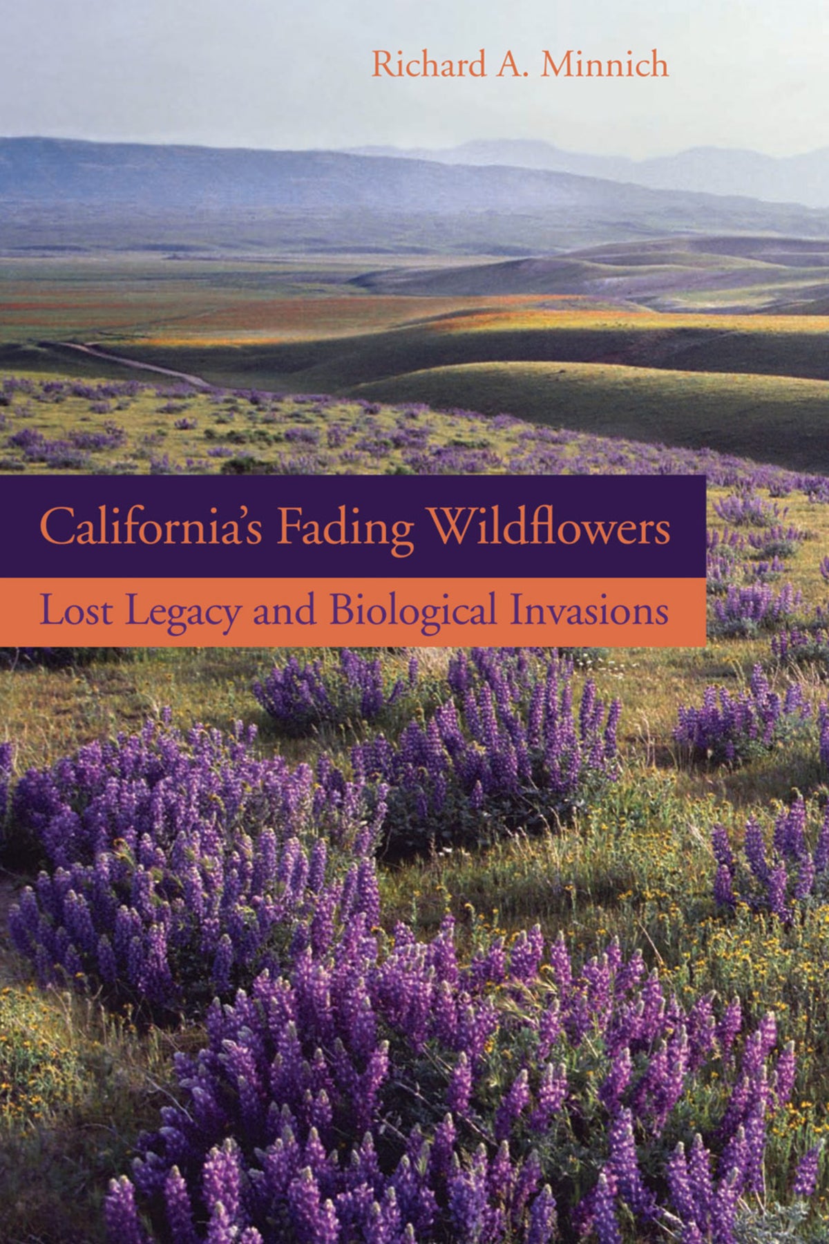 California’s Fading Wildflowers