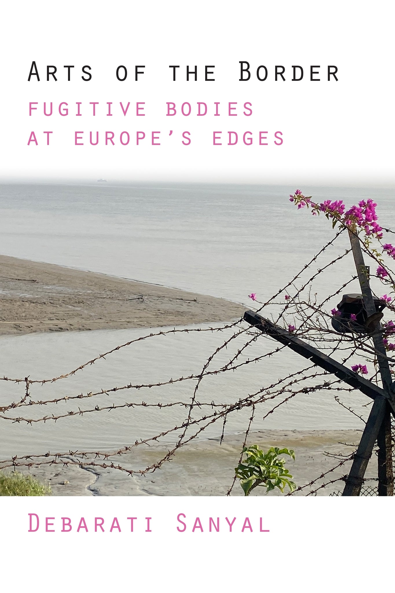 Cover image for Arts of the Border ISBN 9781531512125