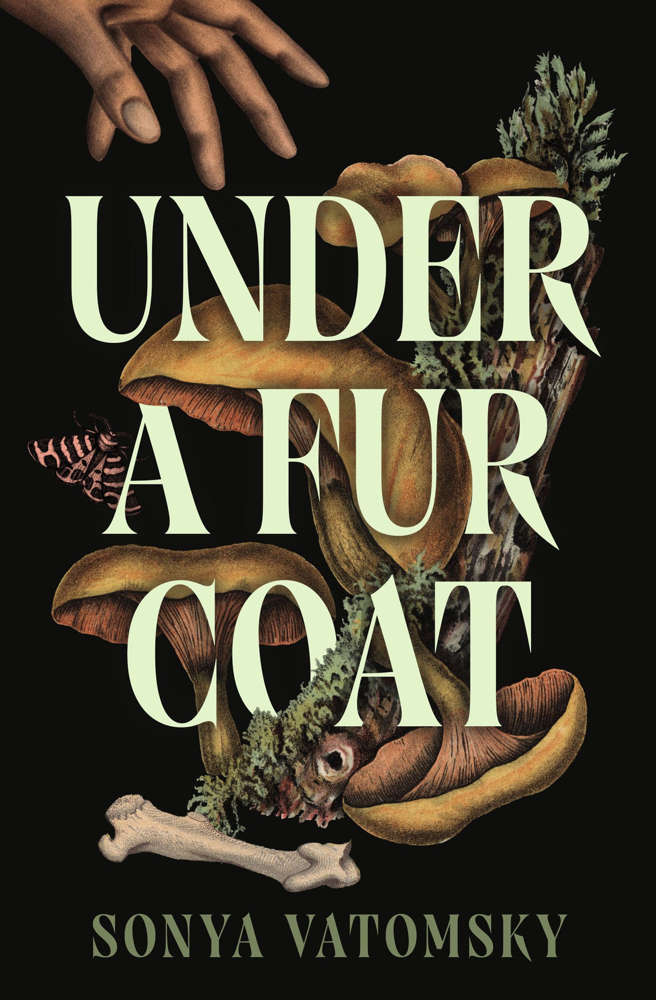 Under a Fur Coat
