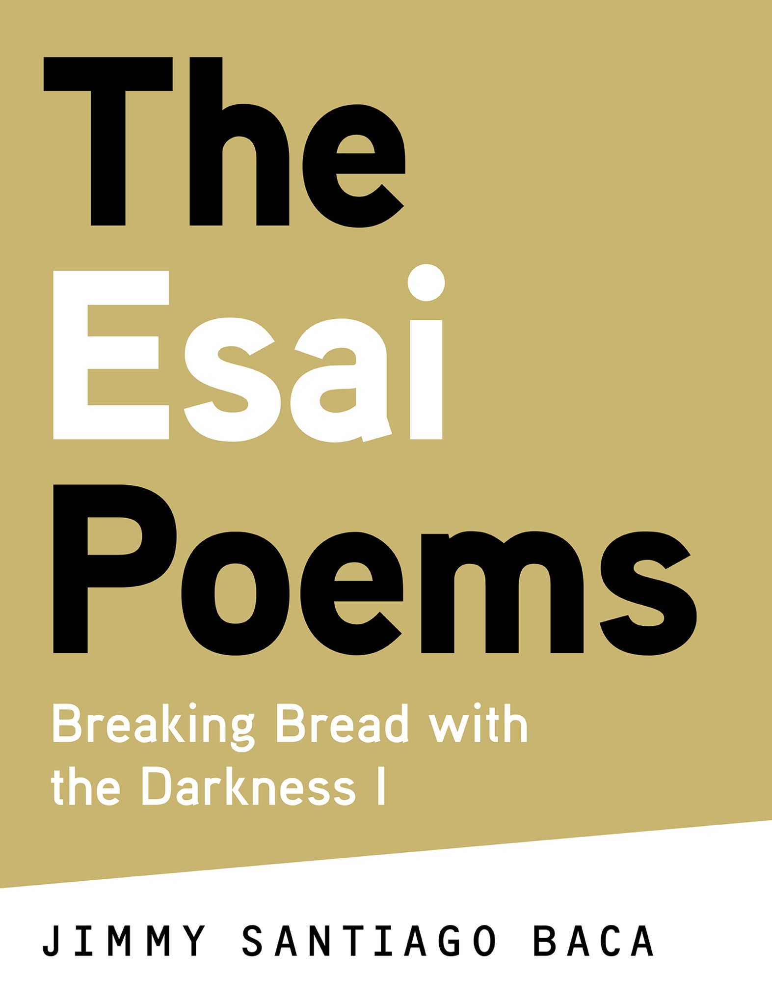 Cover image for The Esai Poems ISBN 9780989983228