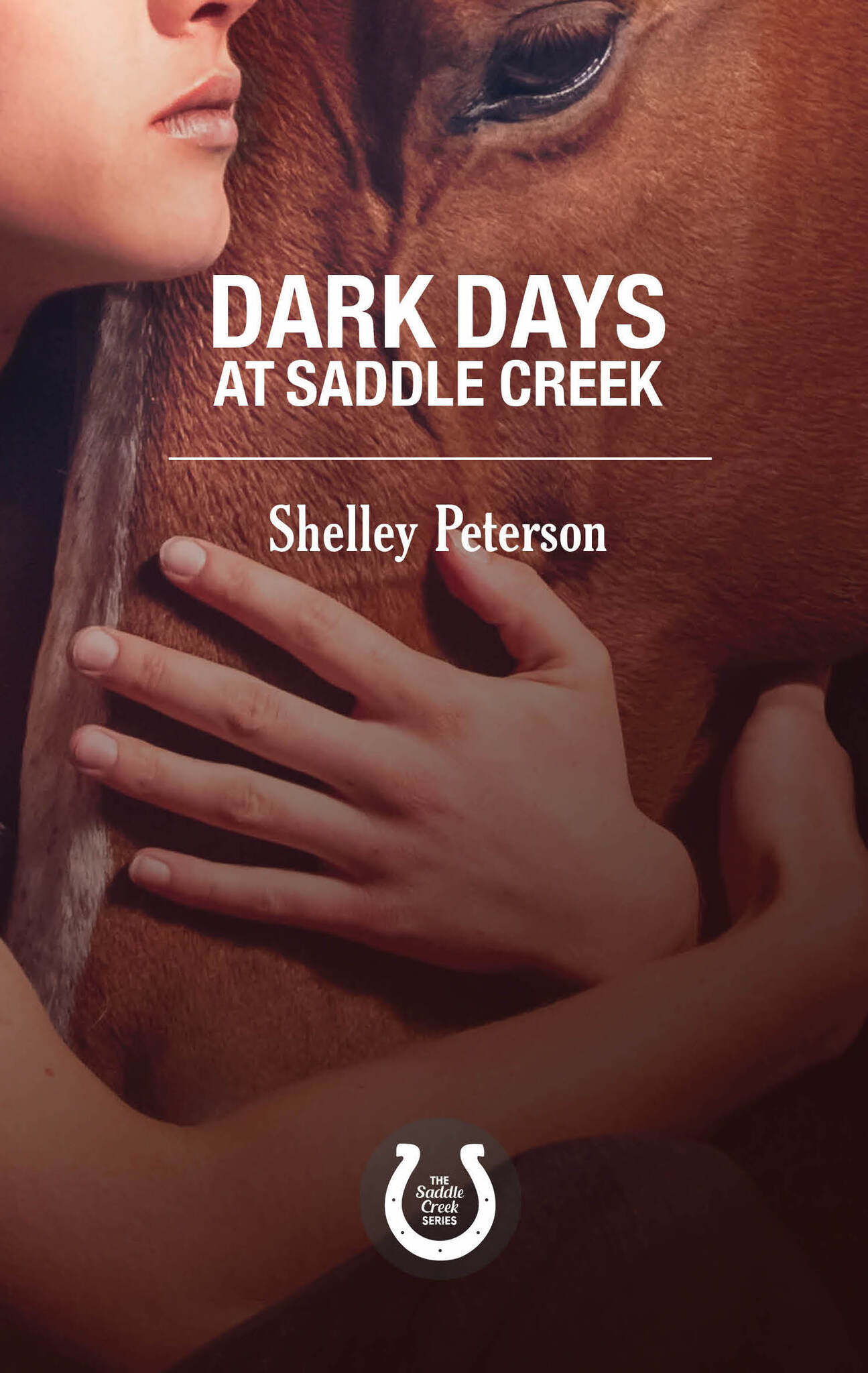 Cover image for Dark Days at Saddle Creek ISBN 9781459739543