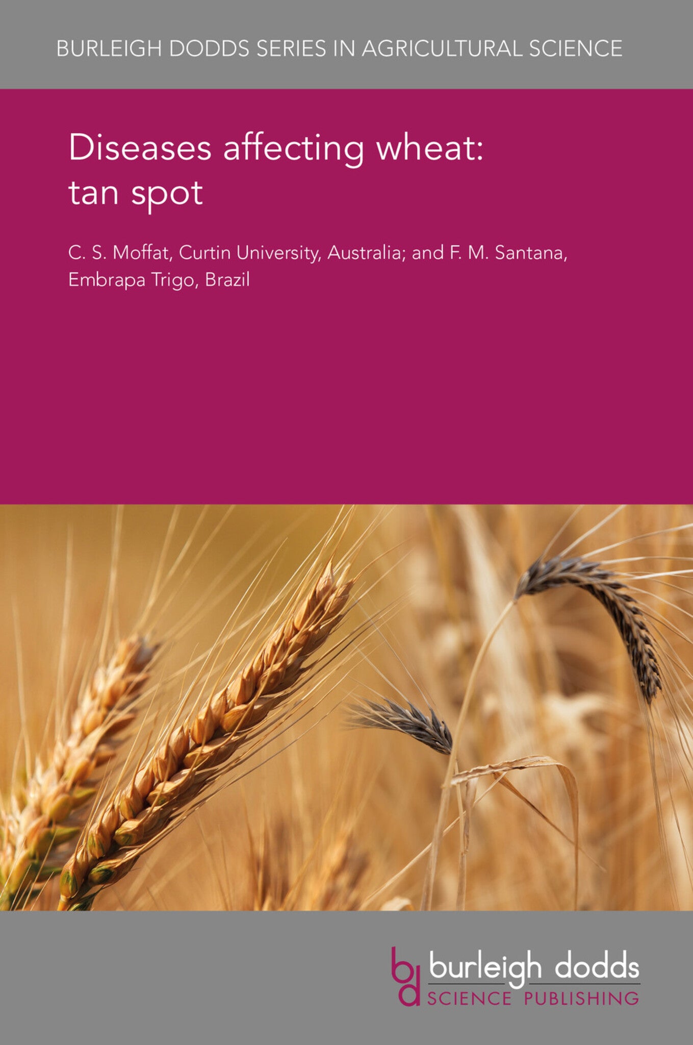 Cover image for Diseases affecting wheat: tan spot ISBN 9781838797379