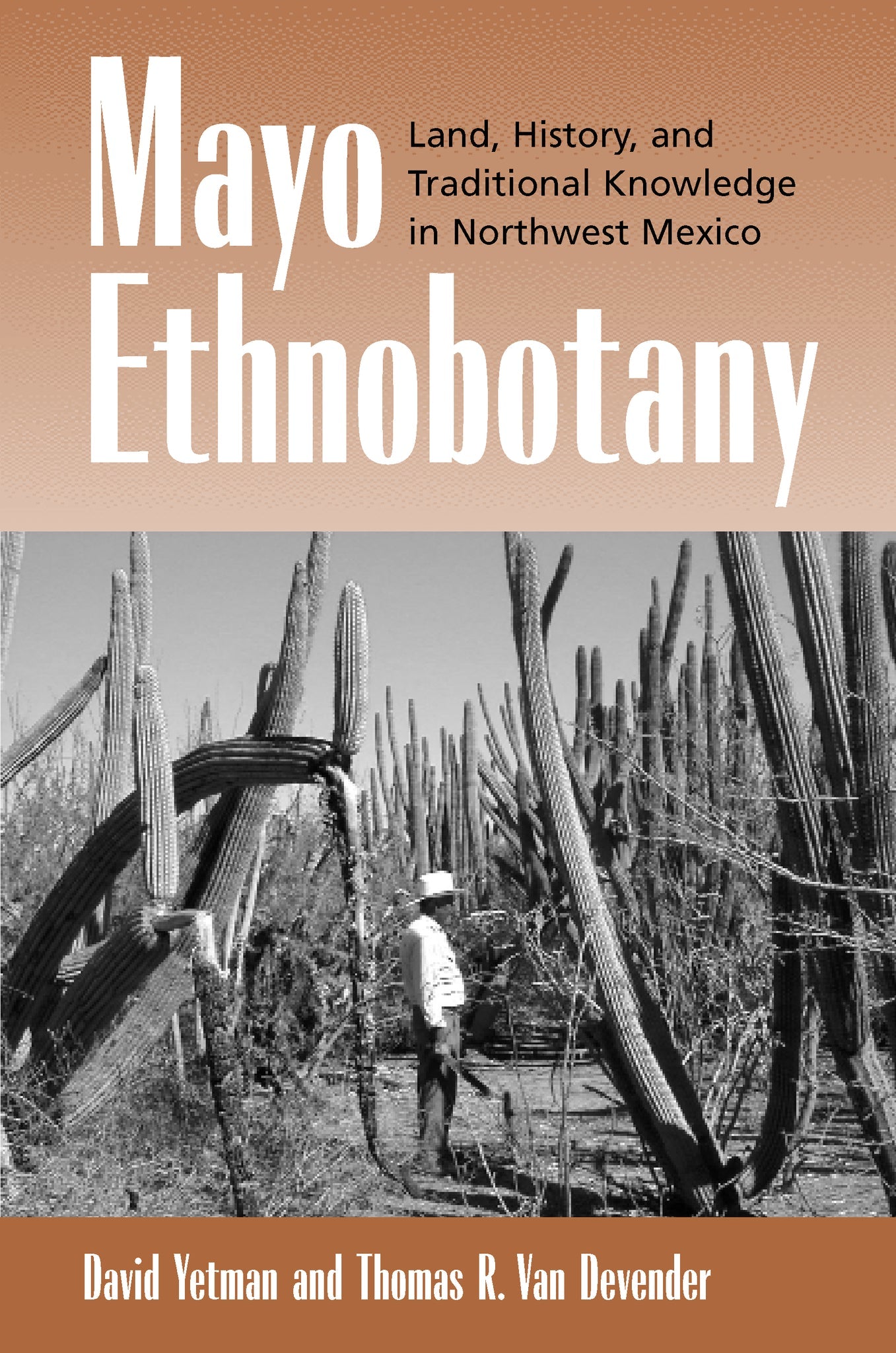 Cover image for Mayo Ethnobotany ISBN 9780520926356