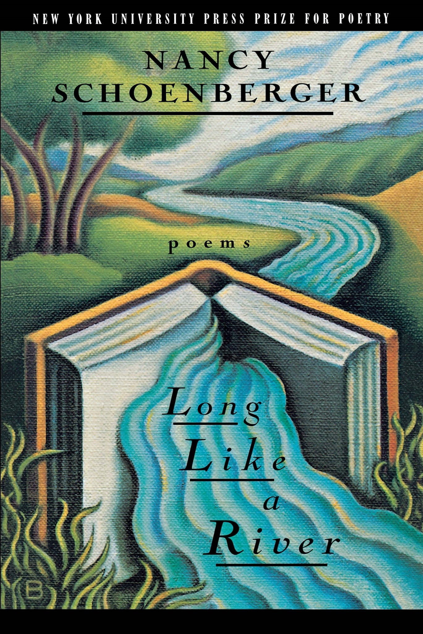 Cover image for Long Like a River ISBN 9780814781043