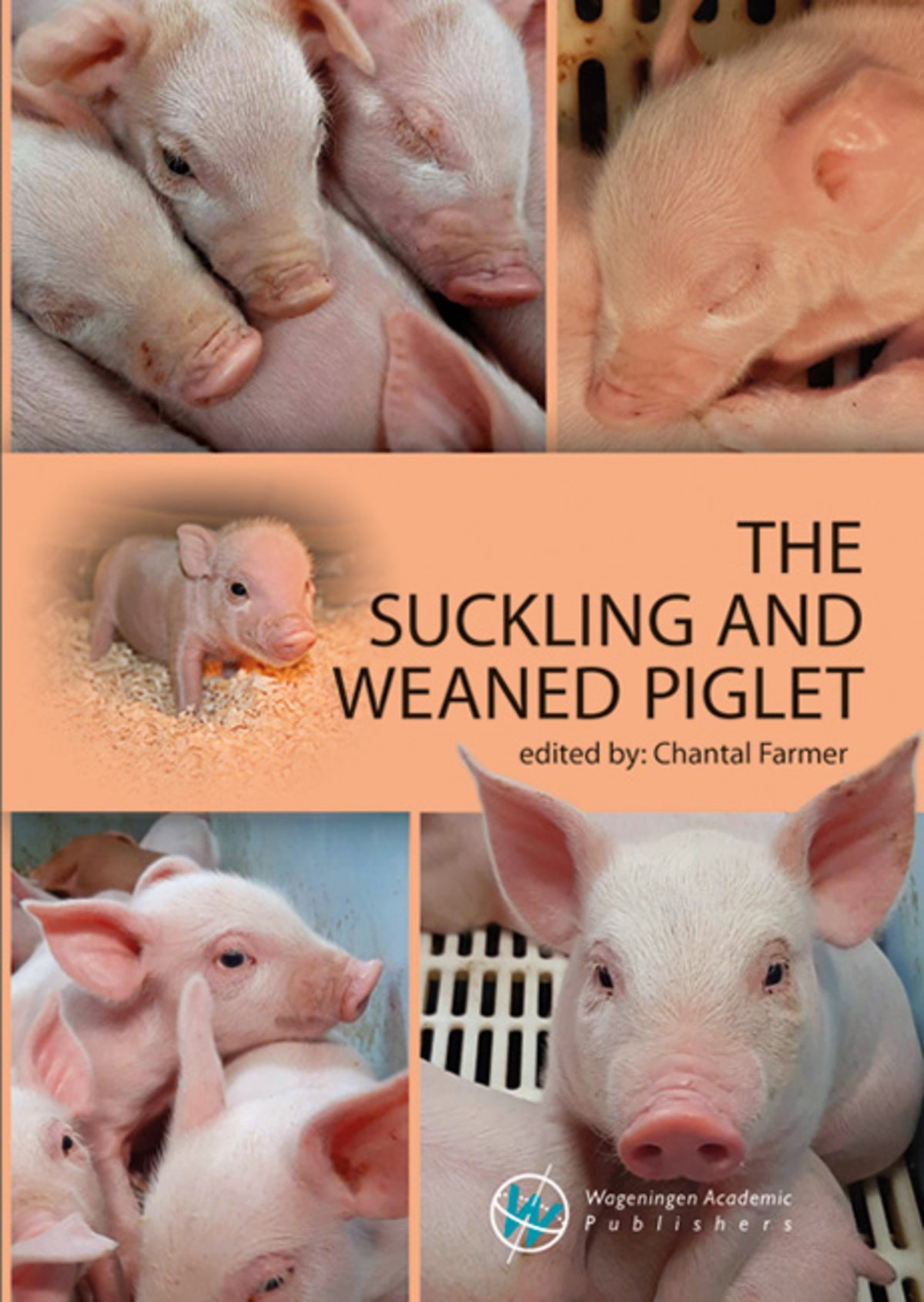 Cover image for The suckling and weaned piglet ISBN 9789086863433