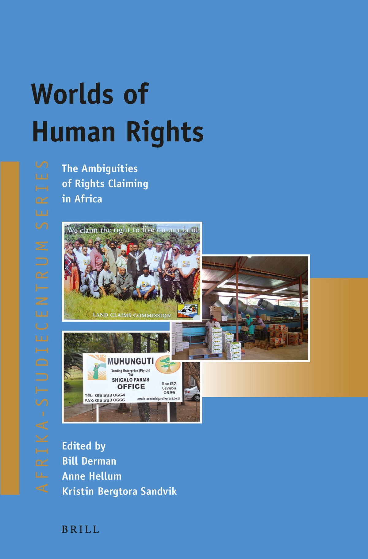 Cover image for Worlds of Human Rights ISBN 9789004246478