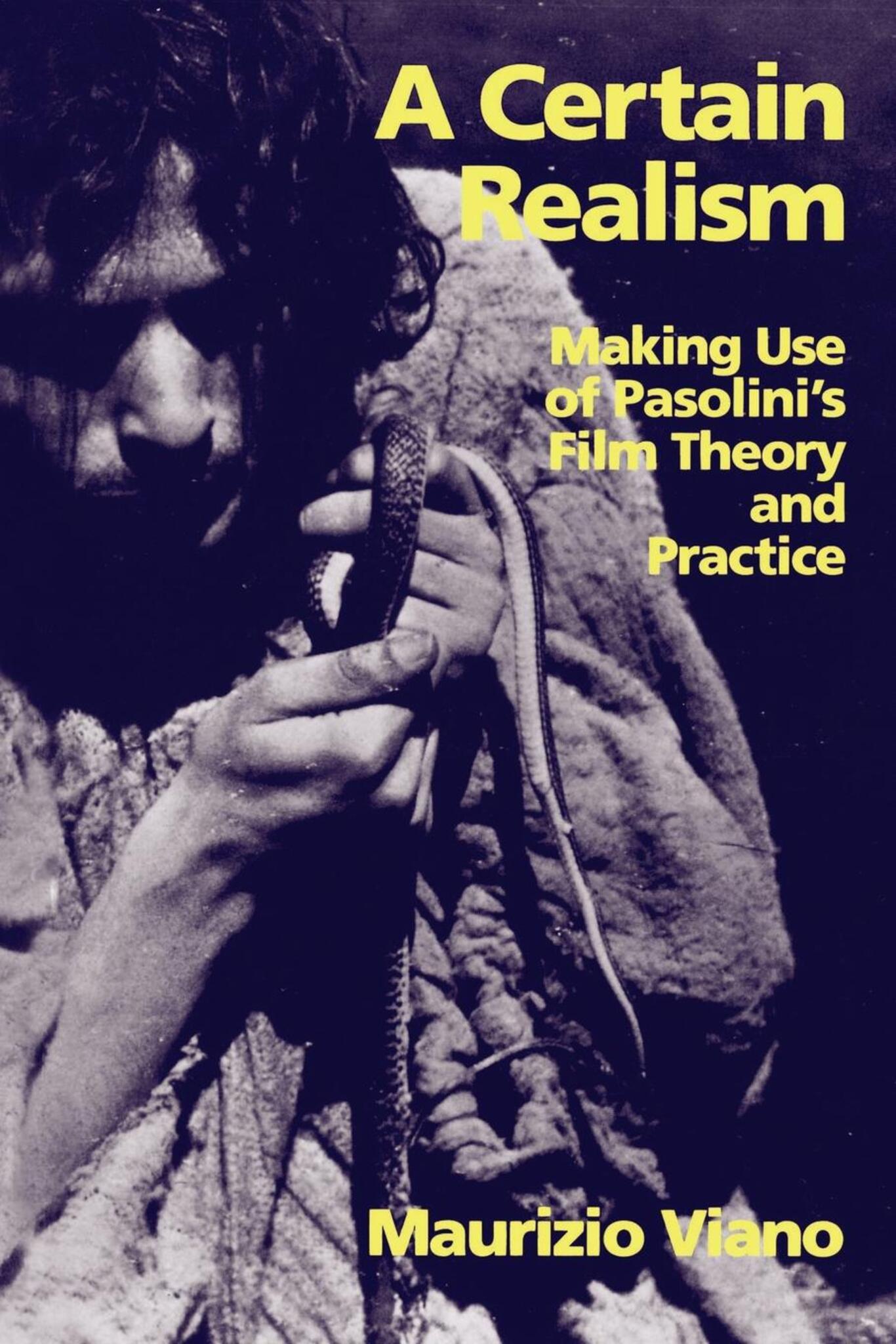 Cover image for A Certain Realism ISBN 9780520912618